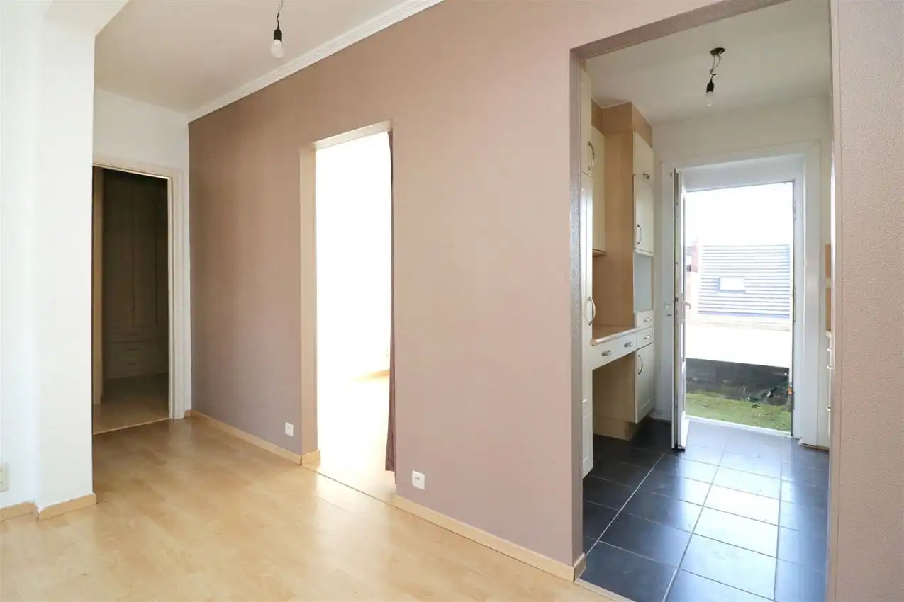 charmant, ruim, mogelijkheid beroep of kangoeroe foto 6