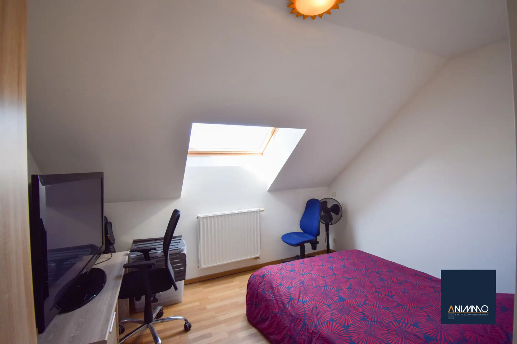 Huis te koop foto 14