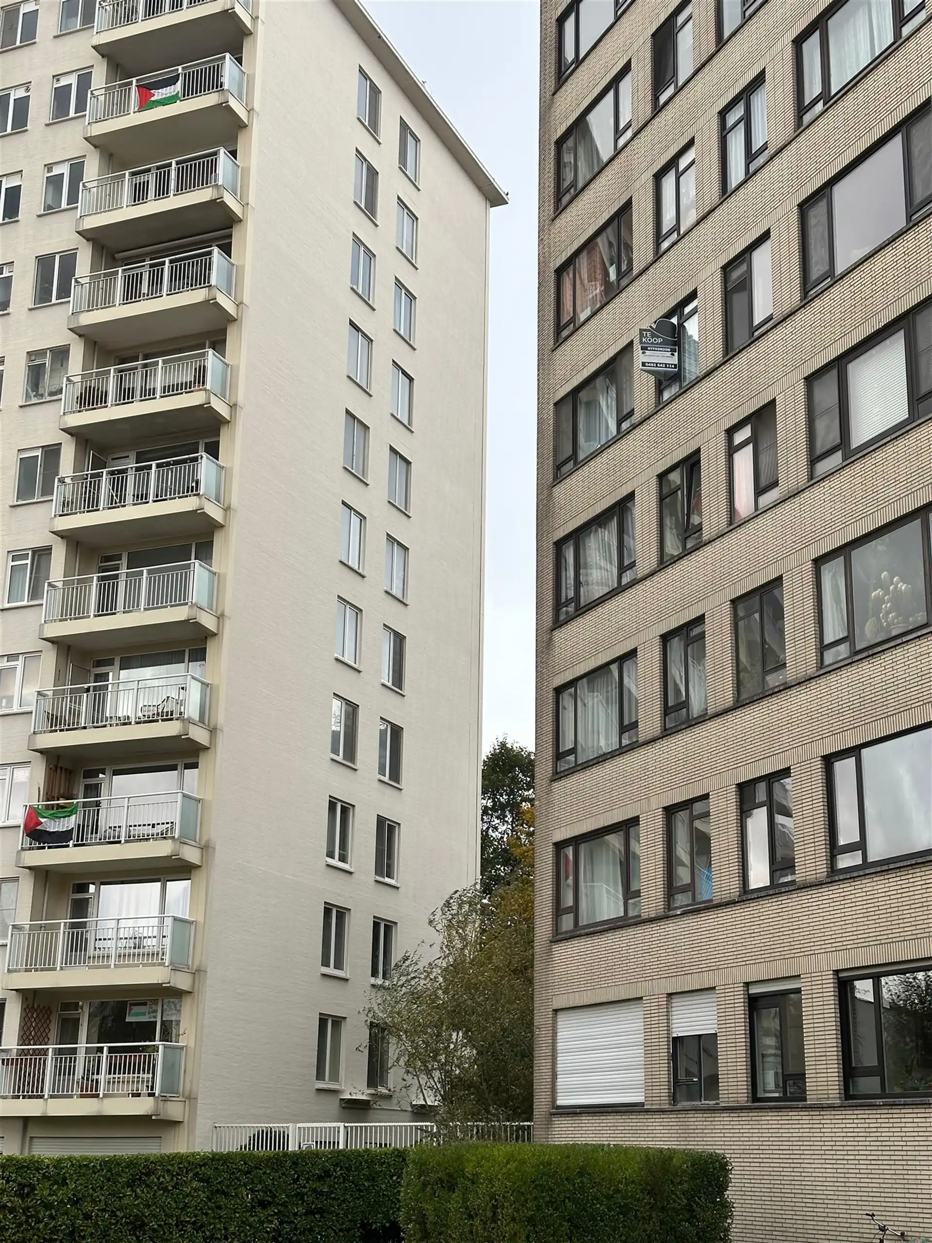 Appartement met 3 slaapkamers te koop in Borgerhout ! foto {{pictureIndex}}