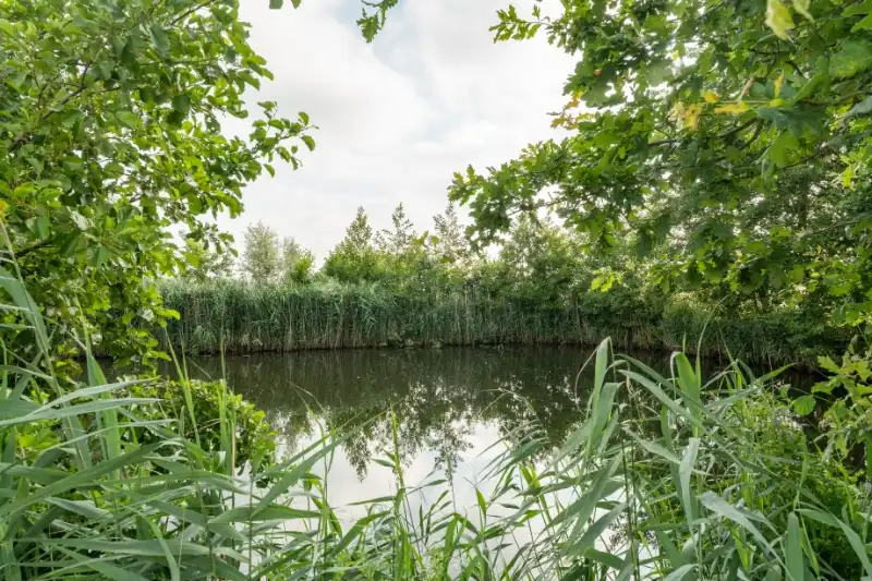 Prachtige casco hoeve op unieke locatie in Moorslede foto 17