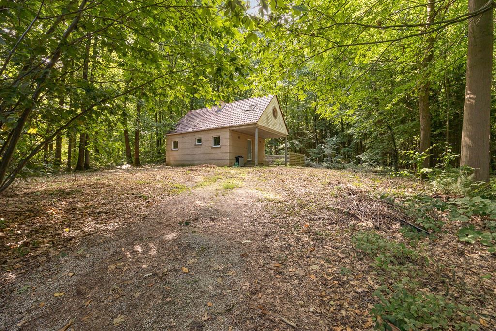 Prachtige vakantiewoning op de Meesberg foto {{pictureIndex}}