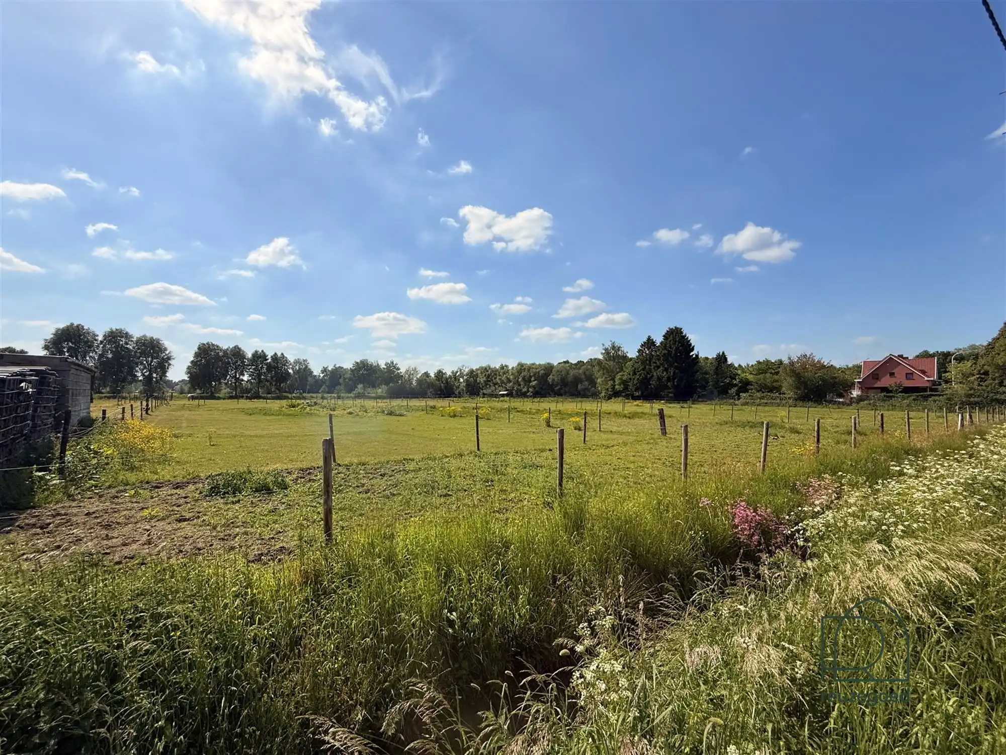 Landbouwgrond in Boortmeerbeek - paardenweide - 2,5 ha foto 4