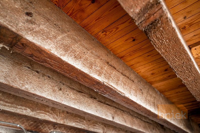 Midden-West-Vlaanderen : authentiek en origineel industrieel loftgebouw met open landelijk zicht foto 9