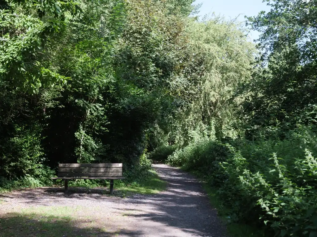 Lichtrijk duplexappartement met 2 slaapkamers nabij het Rozebroekenpark foto 8