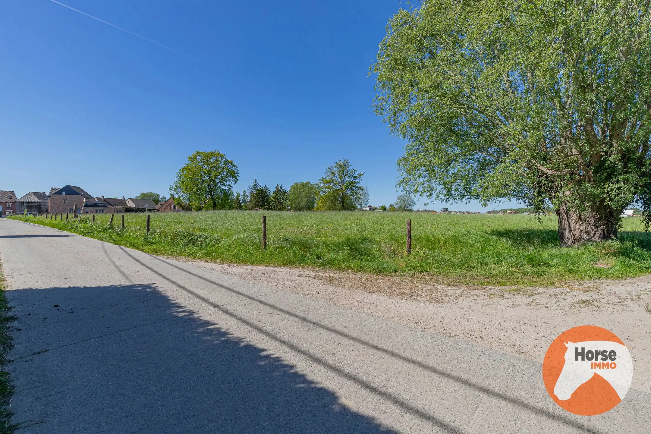 ERPE-MERE - Bouwgrond voor open bebouwing met weiland foto 7