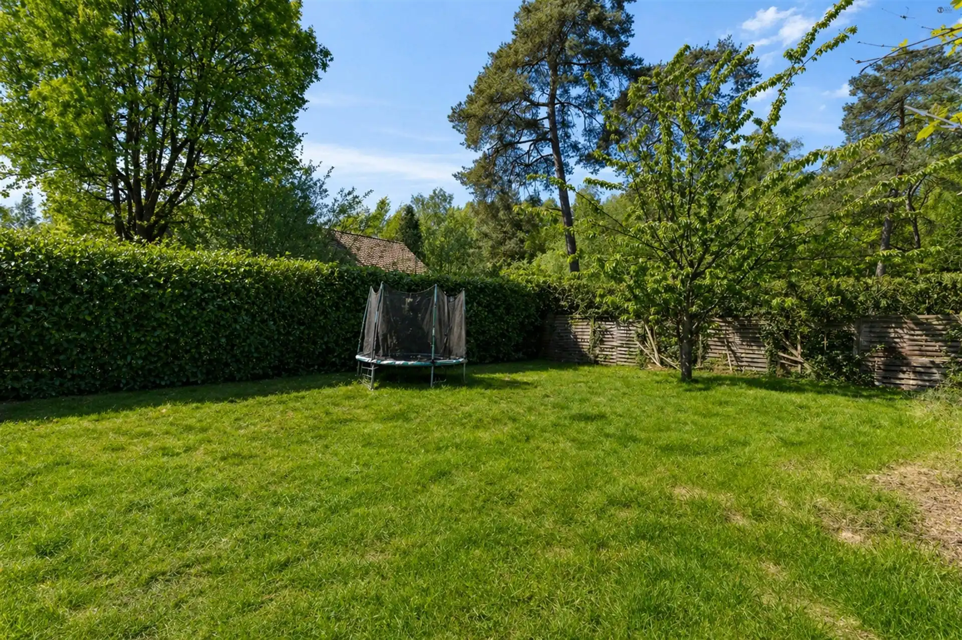 Rustig gelegen recreatiewoning  foto 4