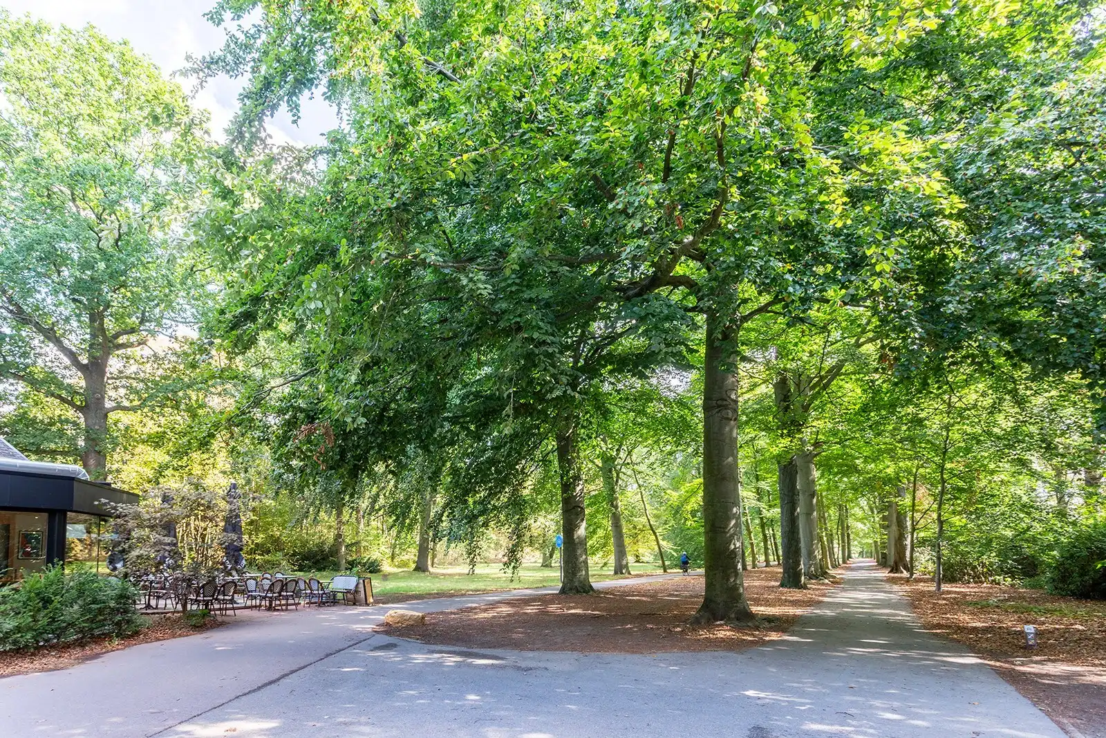 Stijlvol vernieuwd aan het Nachtegalenpark foto 29