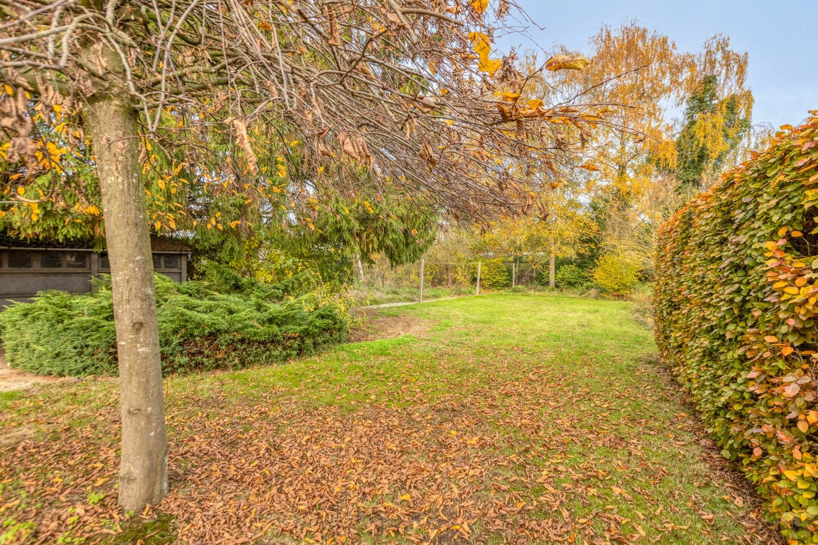 Gelijkvloerse woning te koop in Groot-Vorst, Laakdal foto 23