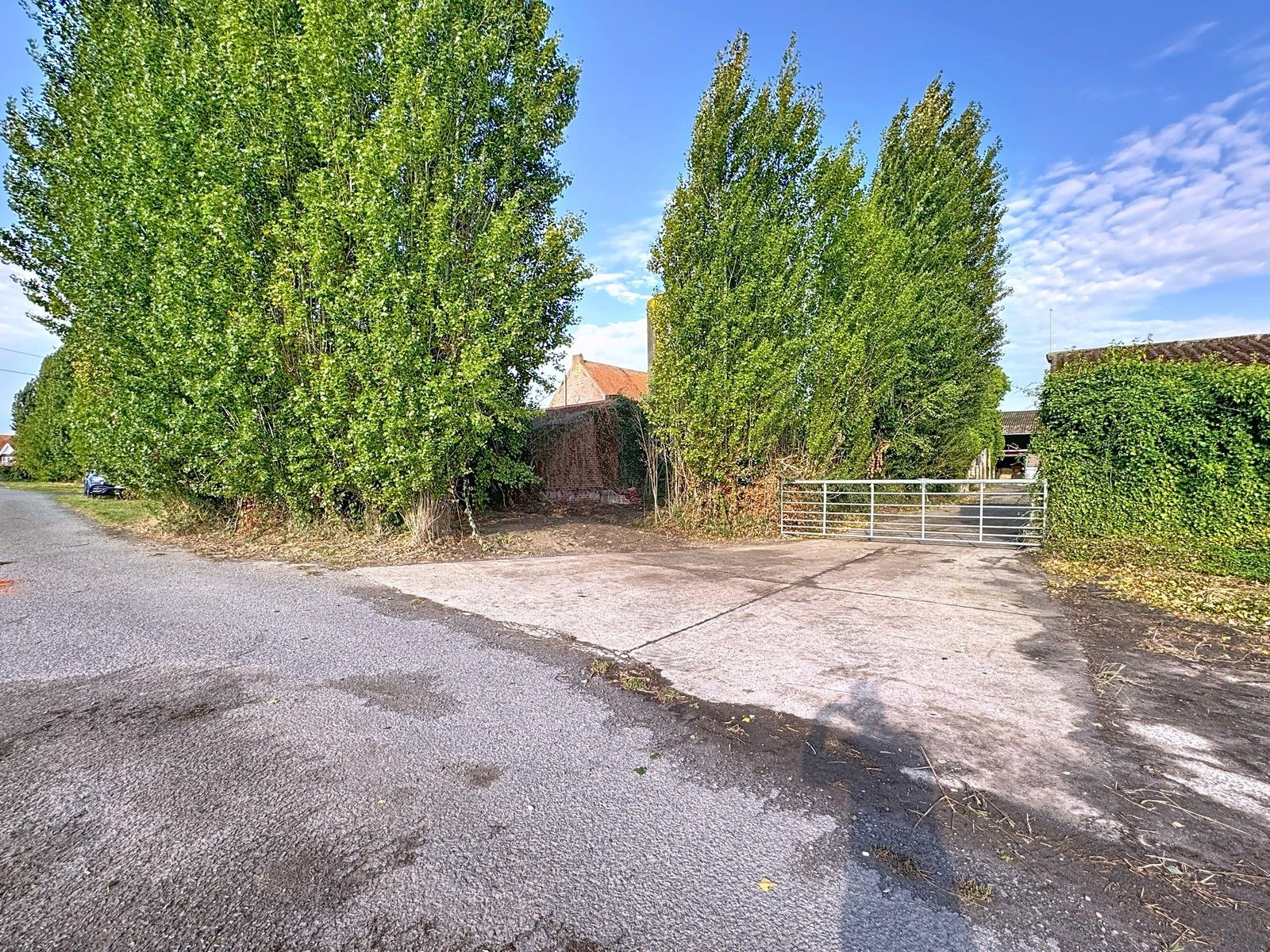 Te renoveren hoeve op crica 1 ha op GOEIE ligging! foto 7