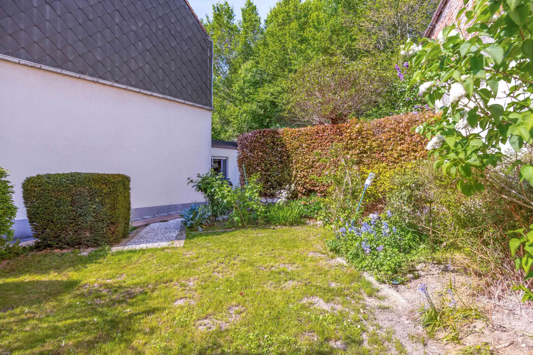 Charmante HOB met 3 slaapkamers in Grimbergen foto 11