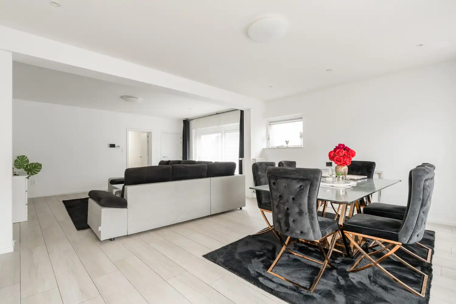 Ruim en lichtrijk 3-slaapkamerappartement met terras & tuin in Achel foto 8