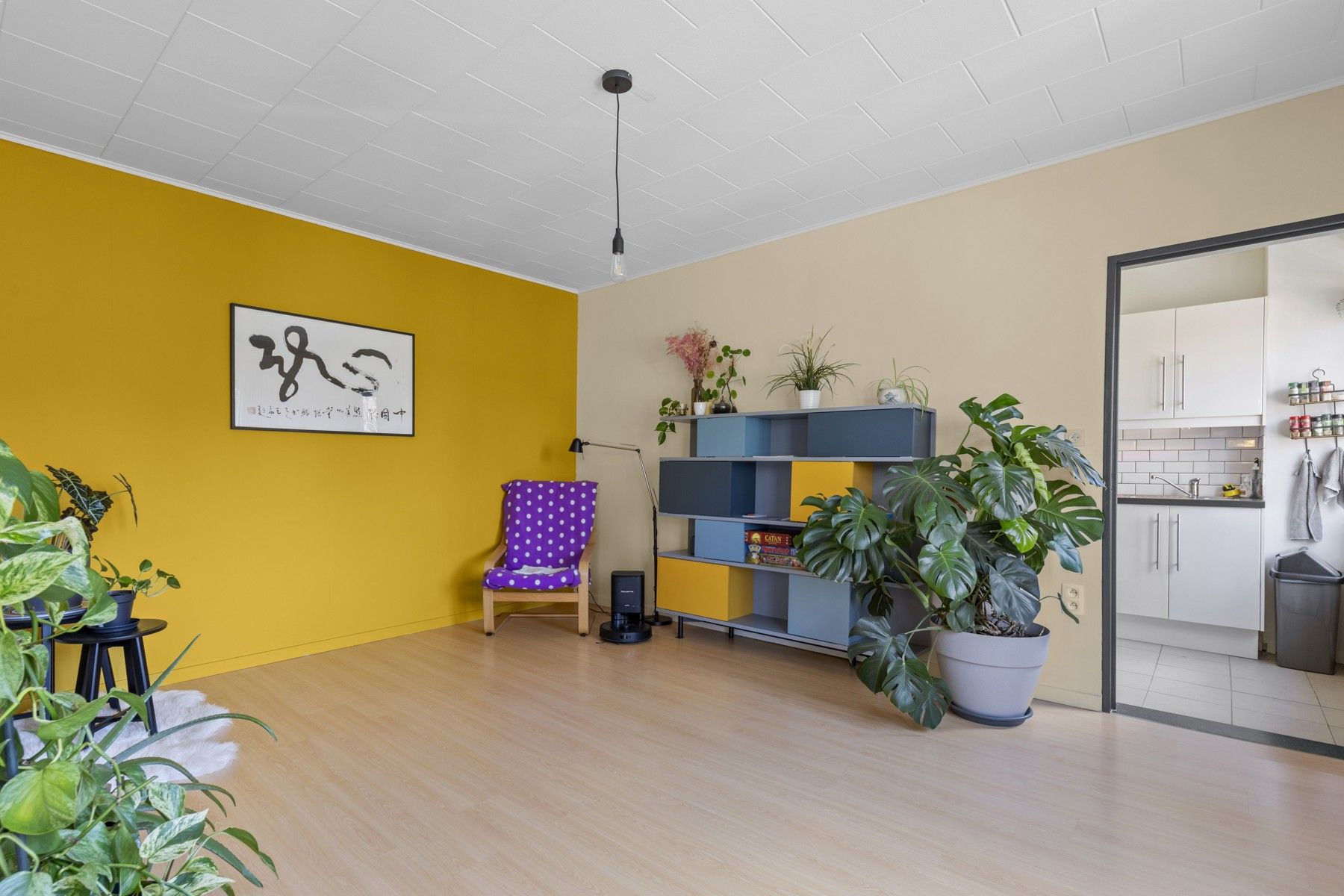 Zeer ruim en instapklaar appartement inclusief  garage -  foto 6