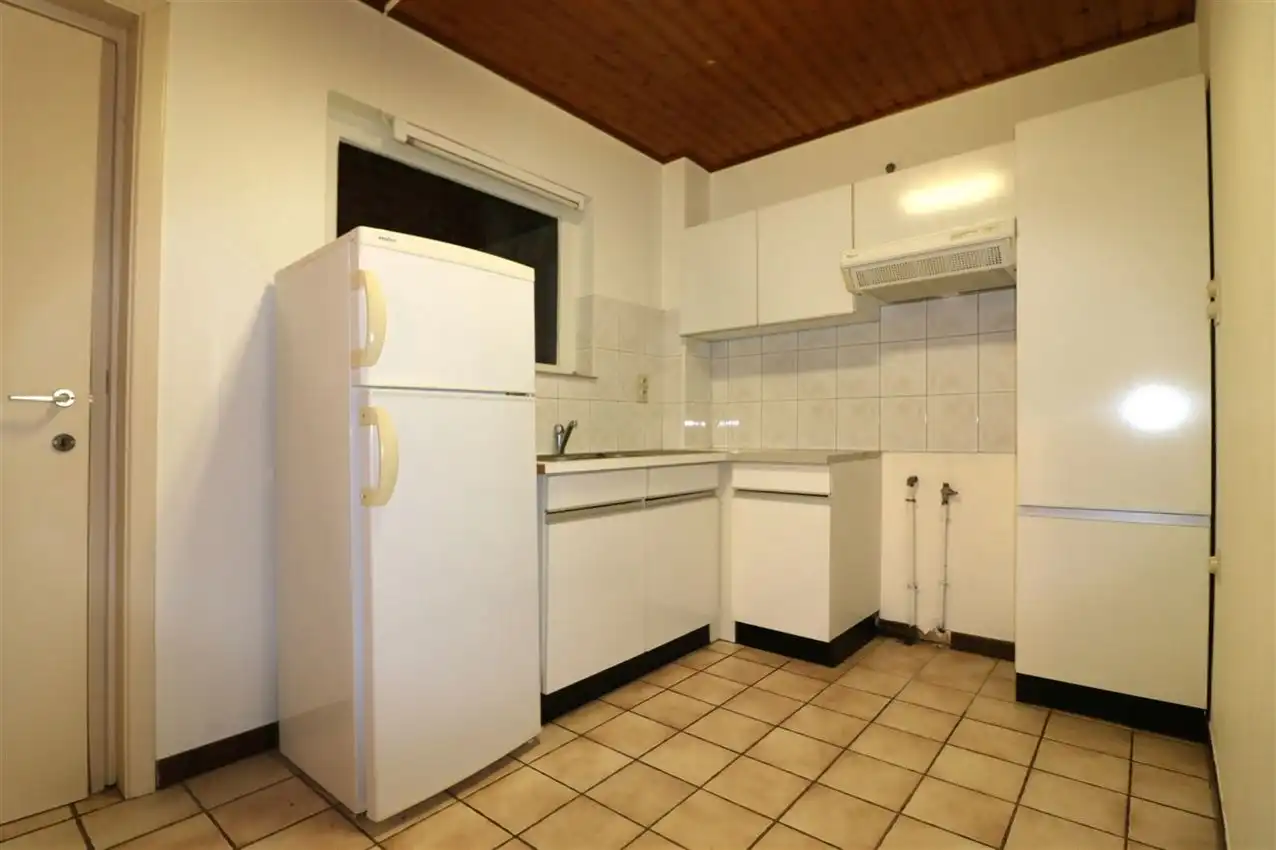 charmant, ruim, mogelijkheid beroep of kangoeroe foto 30