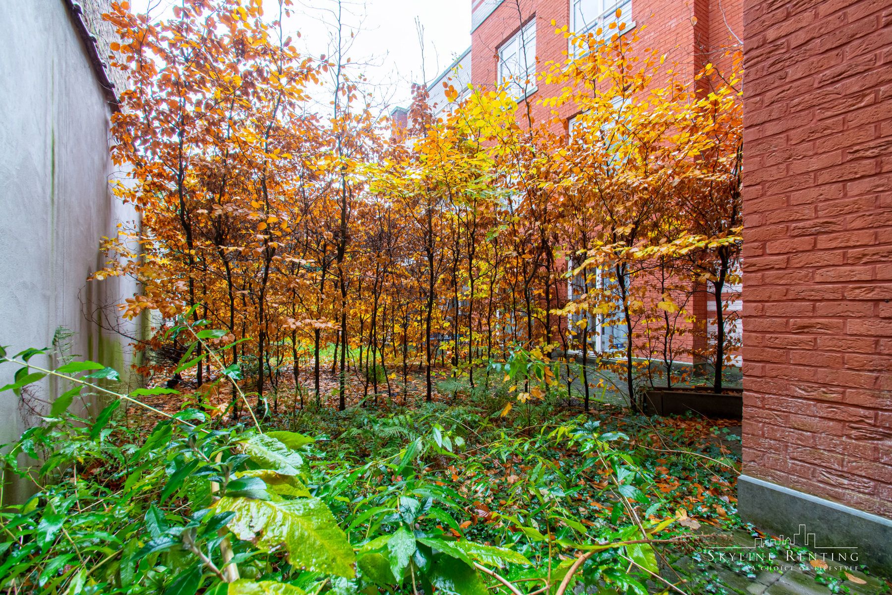 Gemeubeld app met 1 slpk met TUIN foto 7