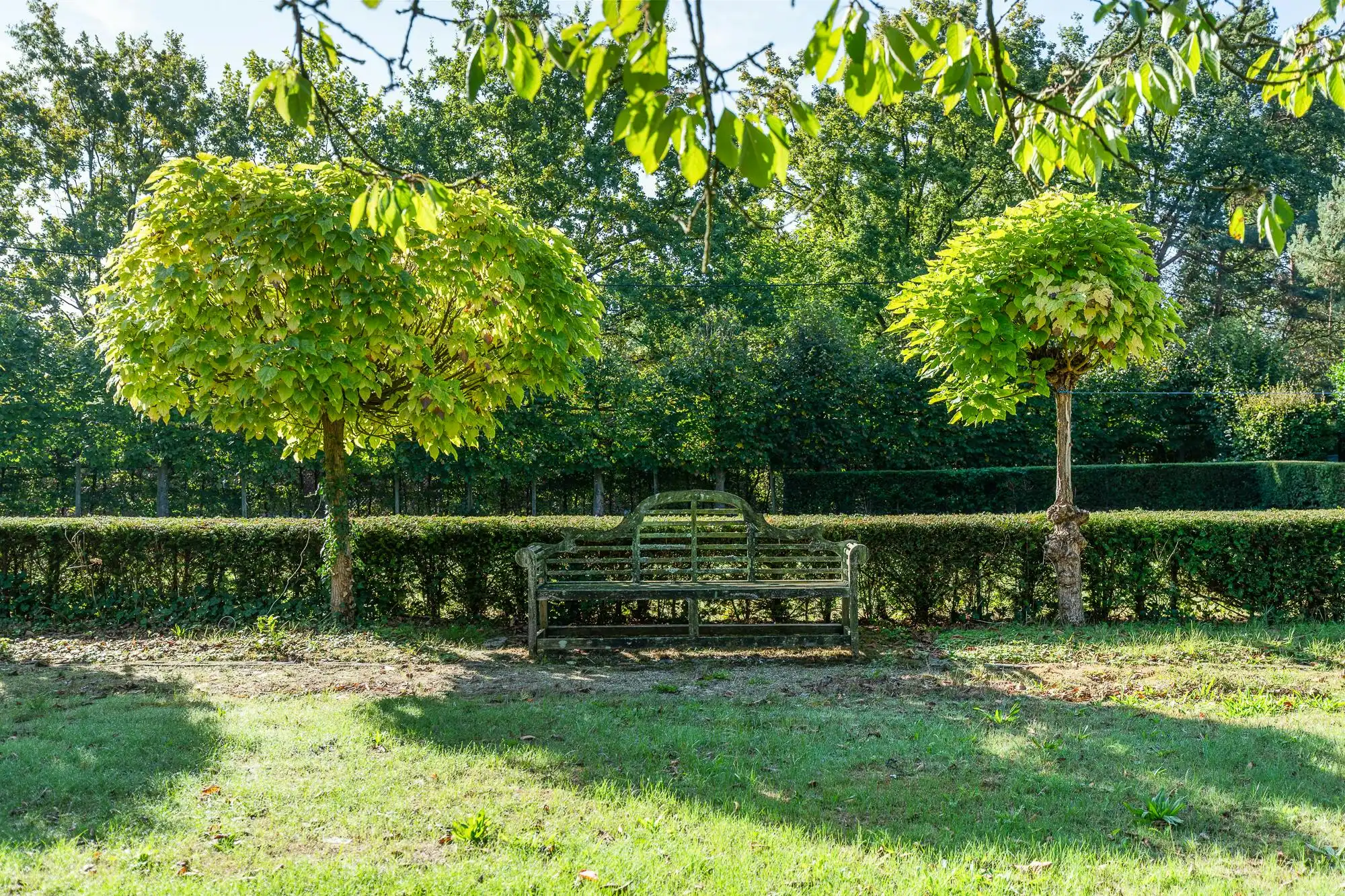 residentieel gelegen villa op 3490 m² te koop in Lichtaart foto 36