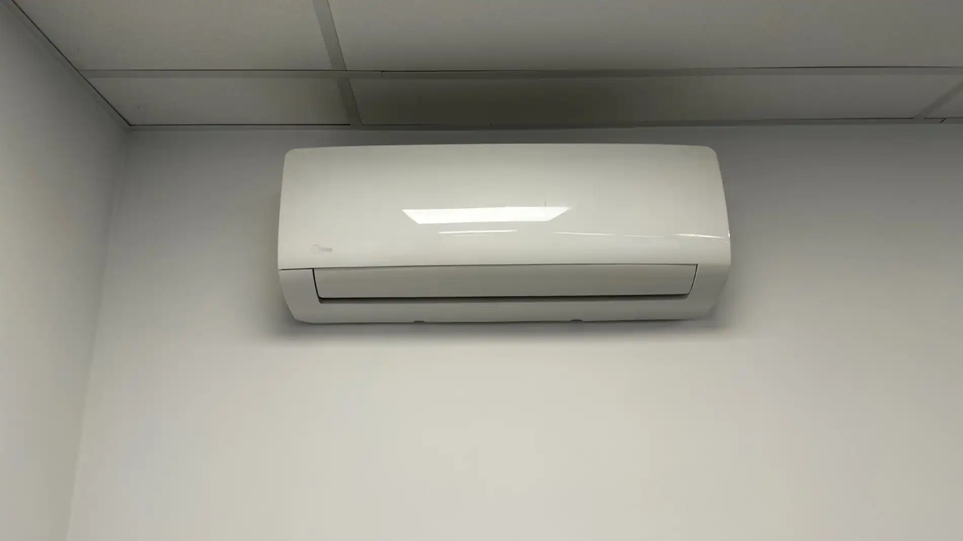 Handelspand te huur in Lokeren foto 7