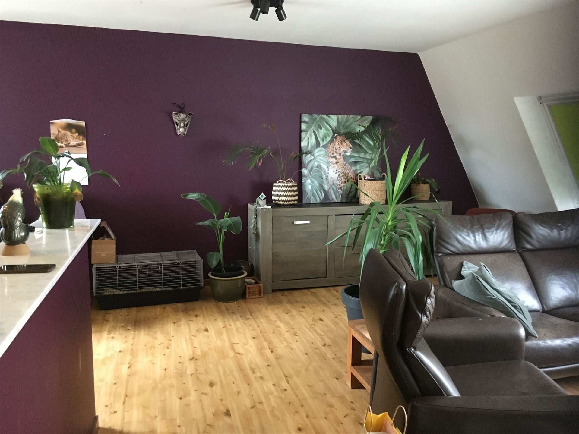 Appartement foto 2