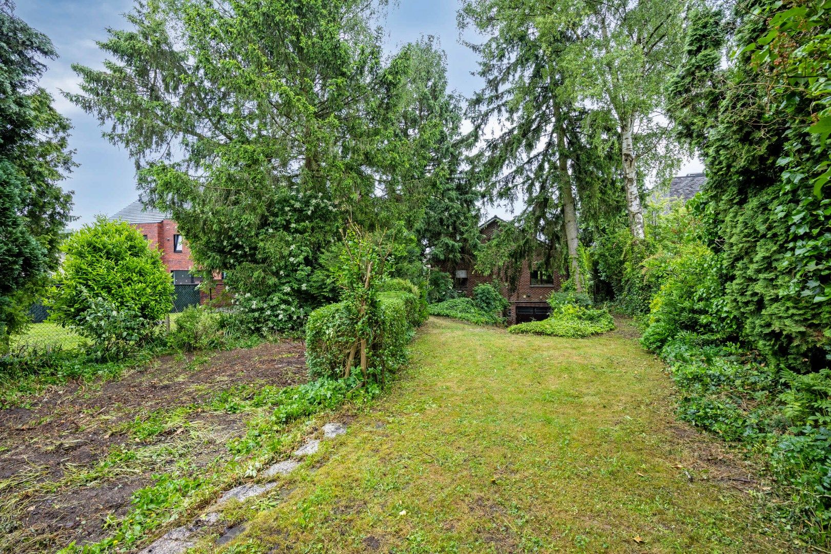 Ruime gezinswoning met grote tuin op perceel van 14a 41ca in Blanden te koop - bewoonbare opp. 236 m² foto 31