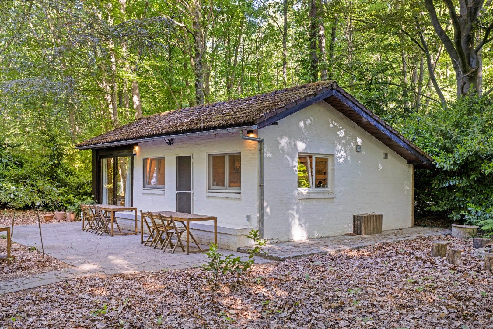 Prachtige vakantiewoning / 2de verblijf in het rustige Verbrandenbos te Kessel-Lo – perceel van 2004 m² – ideale ligging voor natuurliefhebbers foto 2