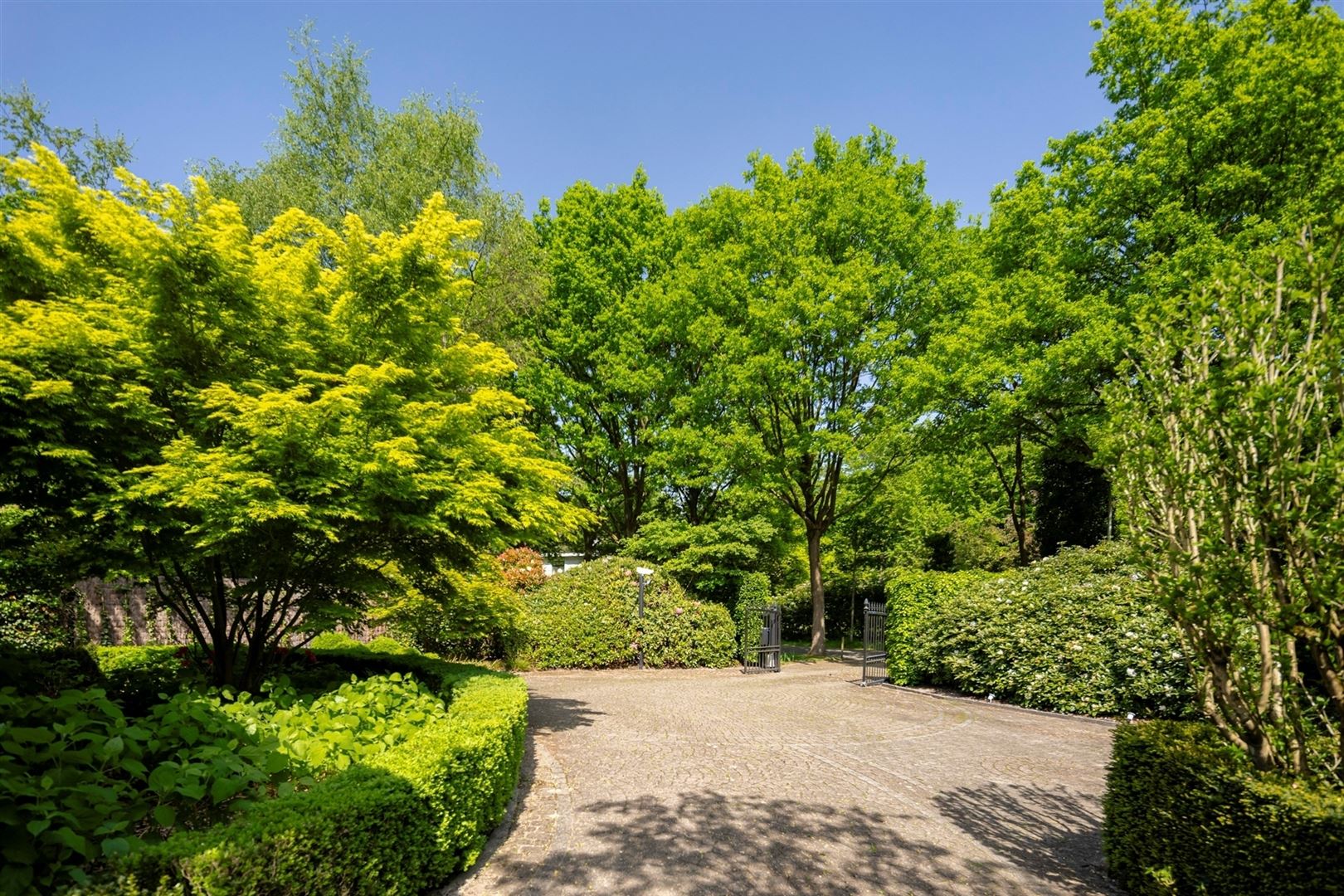 ()=>{if(producerUpdateValueVersion(node),producerAccessed(node),node.value===ERRORED)throw node.error;return node.value} Oudstrijderslei 41 - 2930 Brasschaat