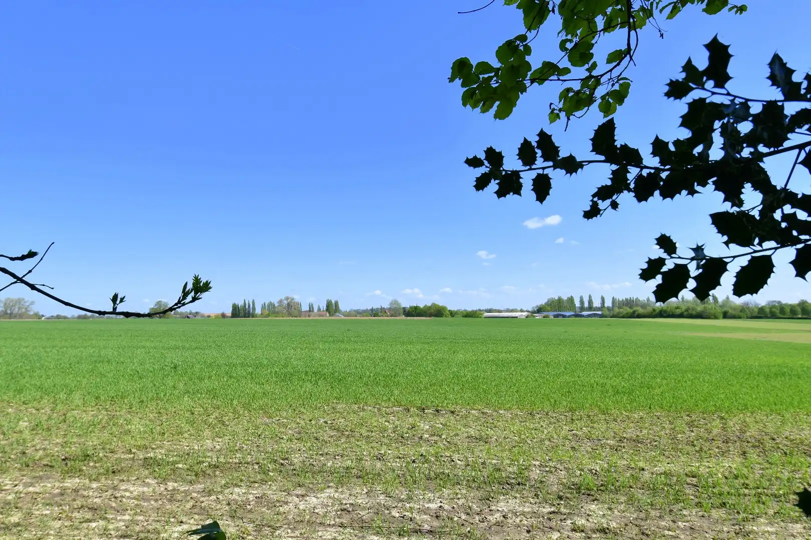 Charmant gelegen eigendom op een perceel van 2.390 m² te koop in het landelijke Rollegem foto 5
