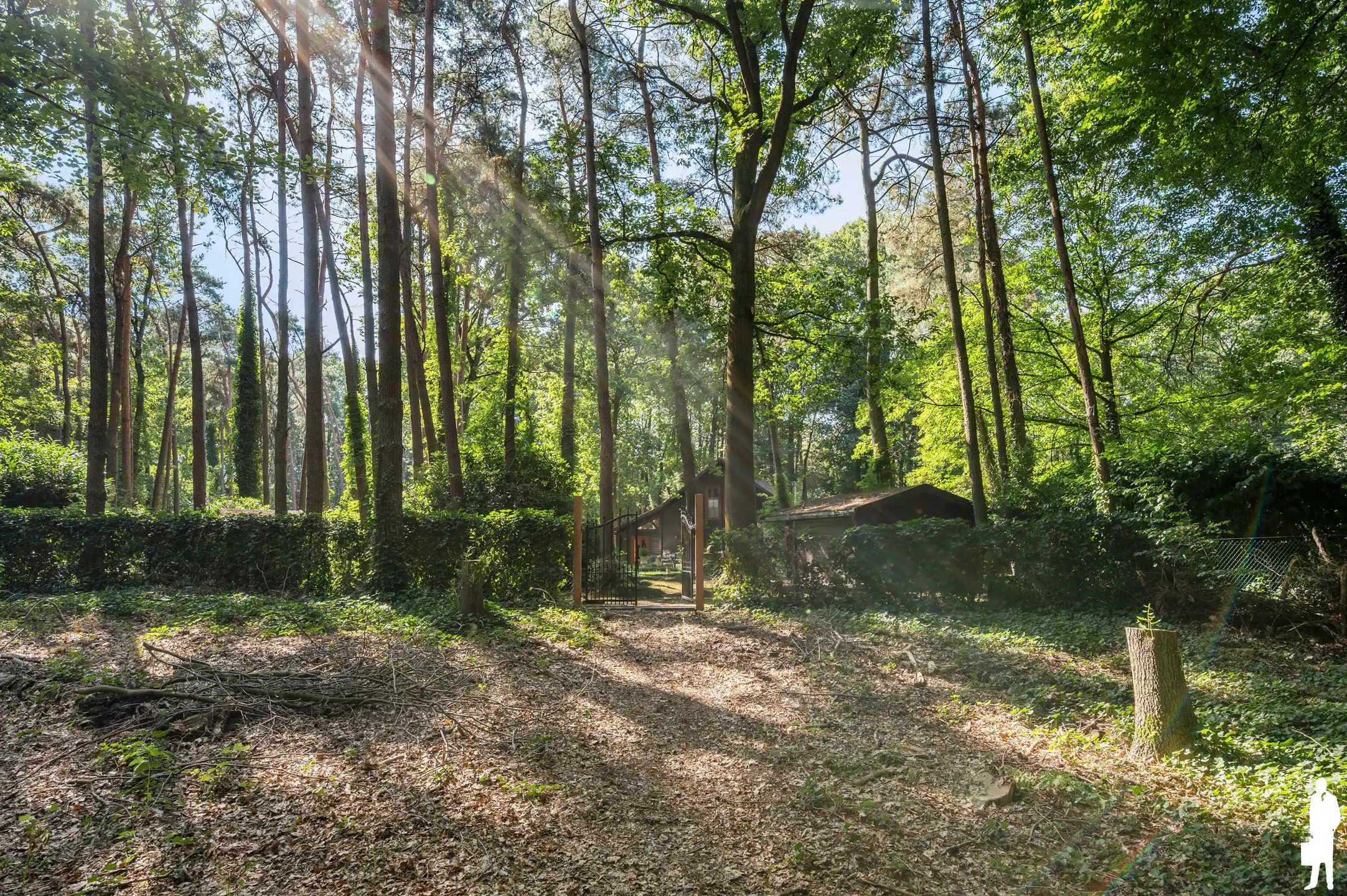Charmante woning met volledige onderkeldering en achterliggend bos van ca. 31.493 m² foto 45