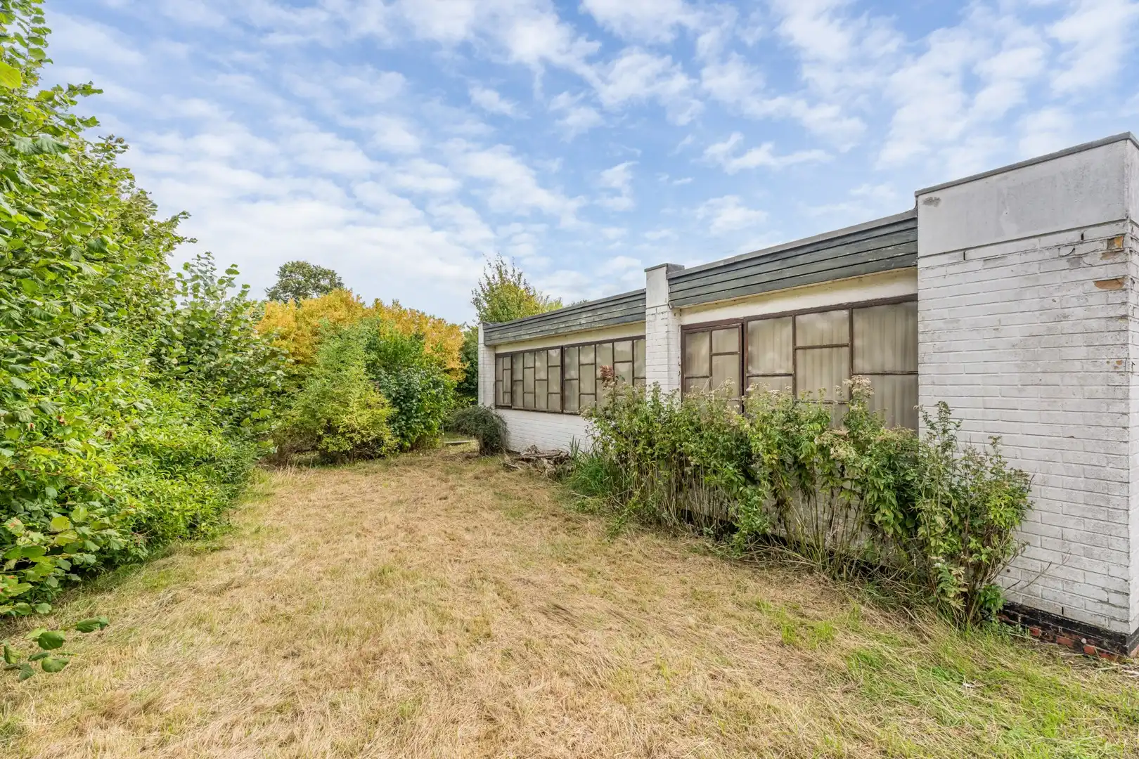 Karaktervolle patio-bungalow met renovatiepotentieel in doodlopende straat te Herent foto 3