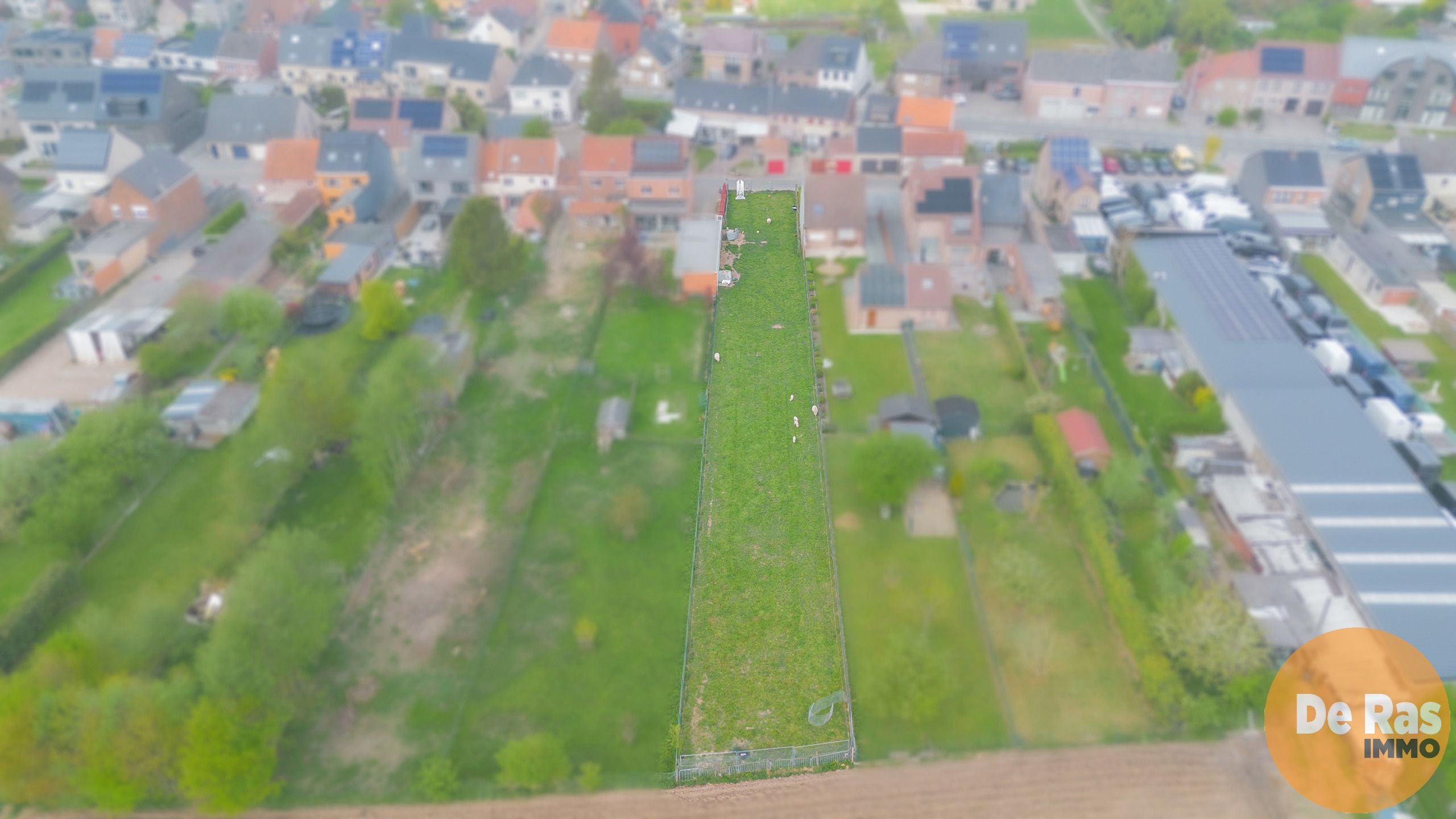 BAMBRUGGE - Mooie perceel bouwgrond op een centrale locatie foto 3