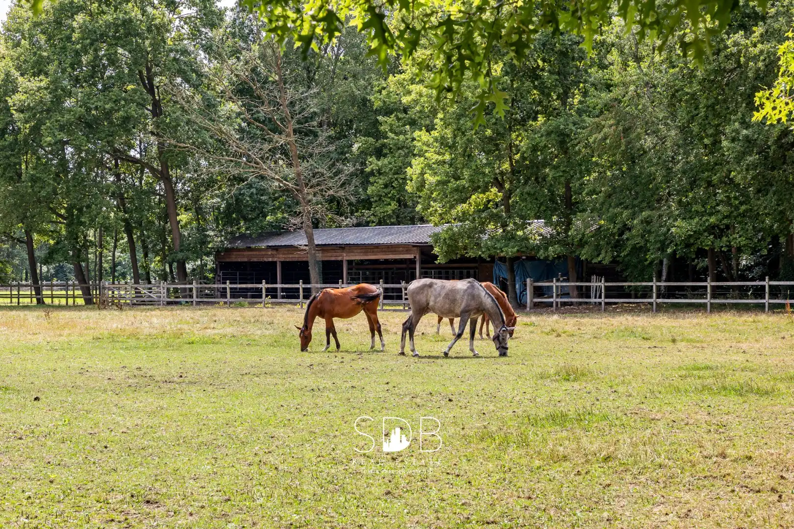Prachtige landelijke villa met gezinstuin en graslanden op 32.558m² foto {{pictureIndex}}