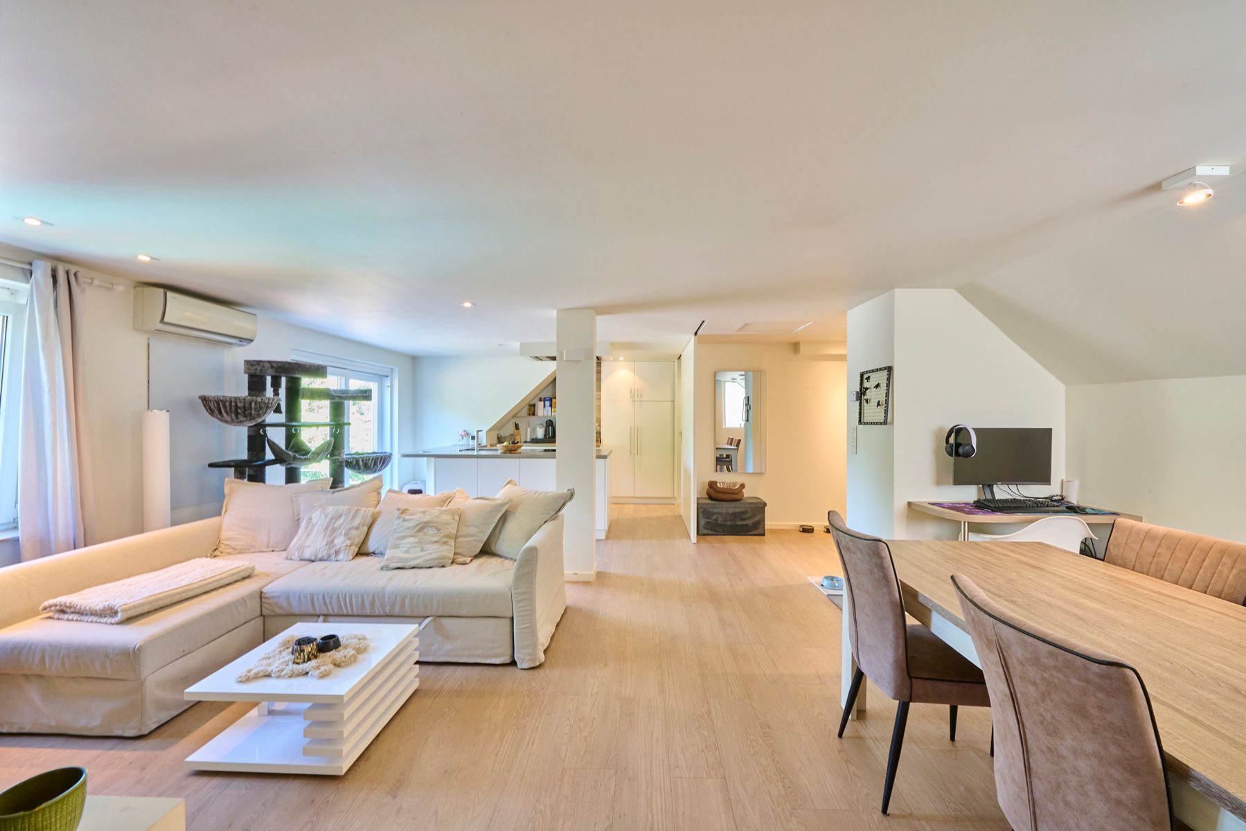 Exclusieve woning met handelzaak,appartement, zwembad en lift. foto 49