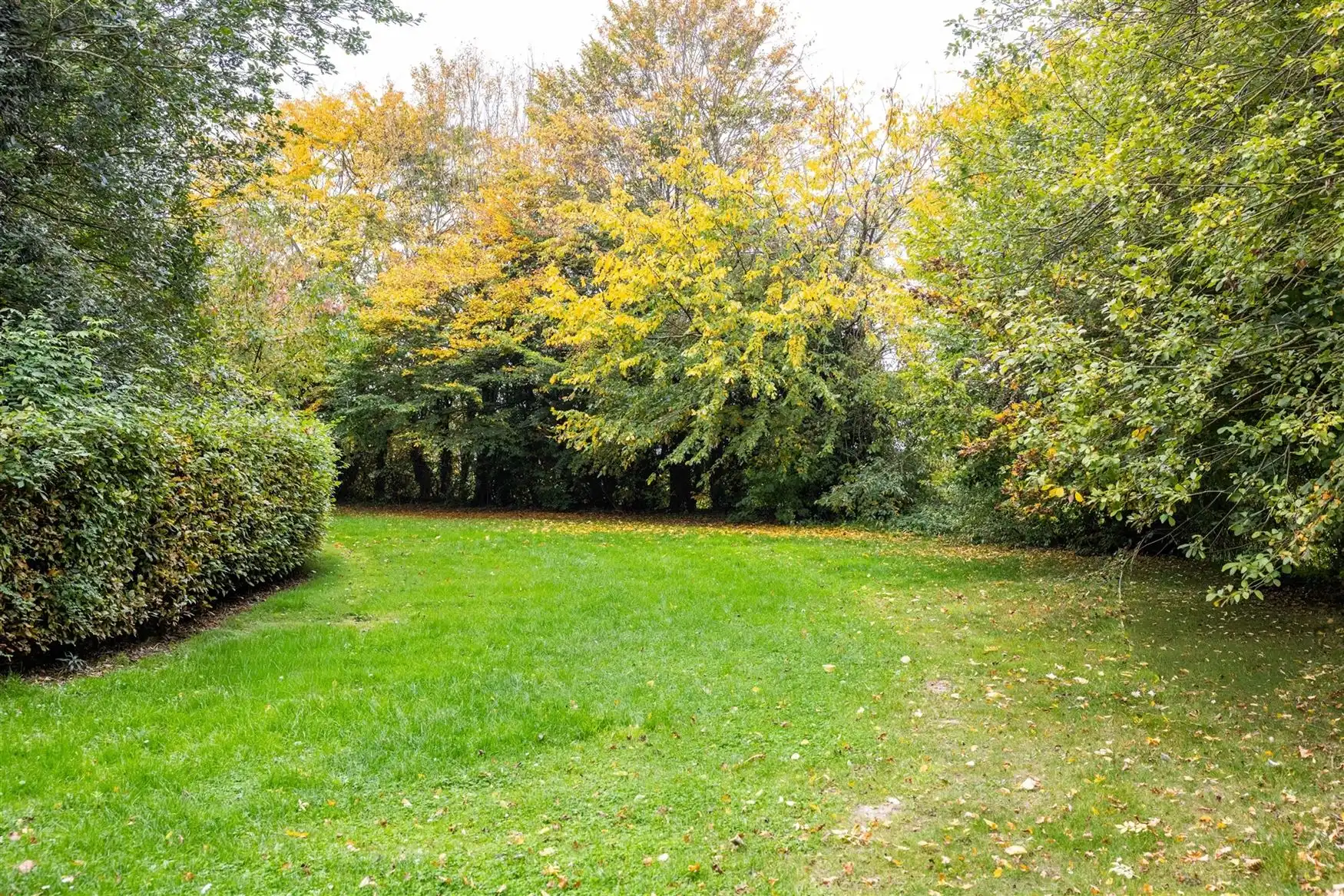 Uniek eigendom te koop: de Zwadderkotmolen. foto 25