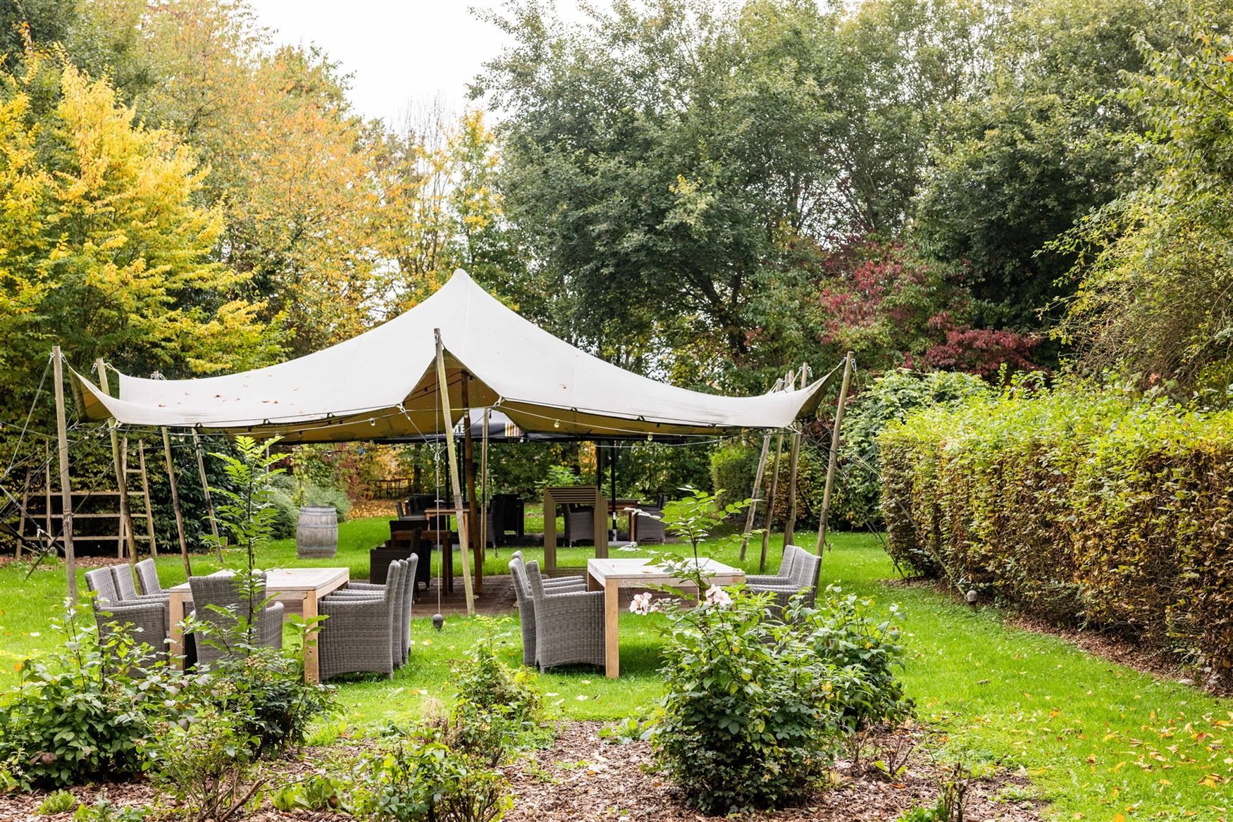 Uniek eigendom te koop: de Zwadderkotmolen. foto 25