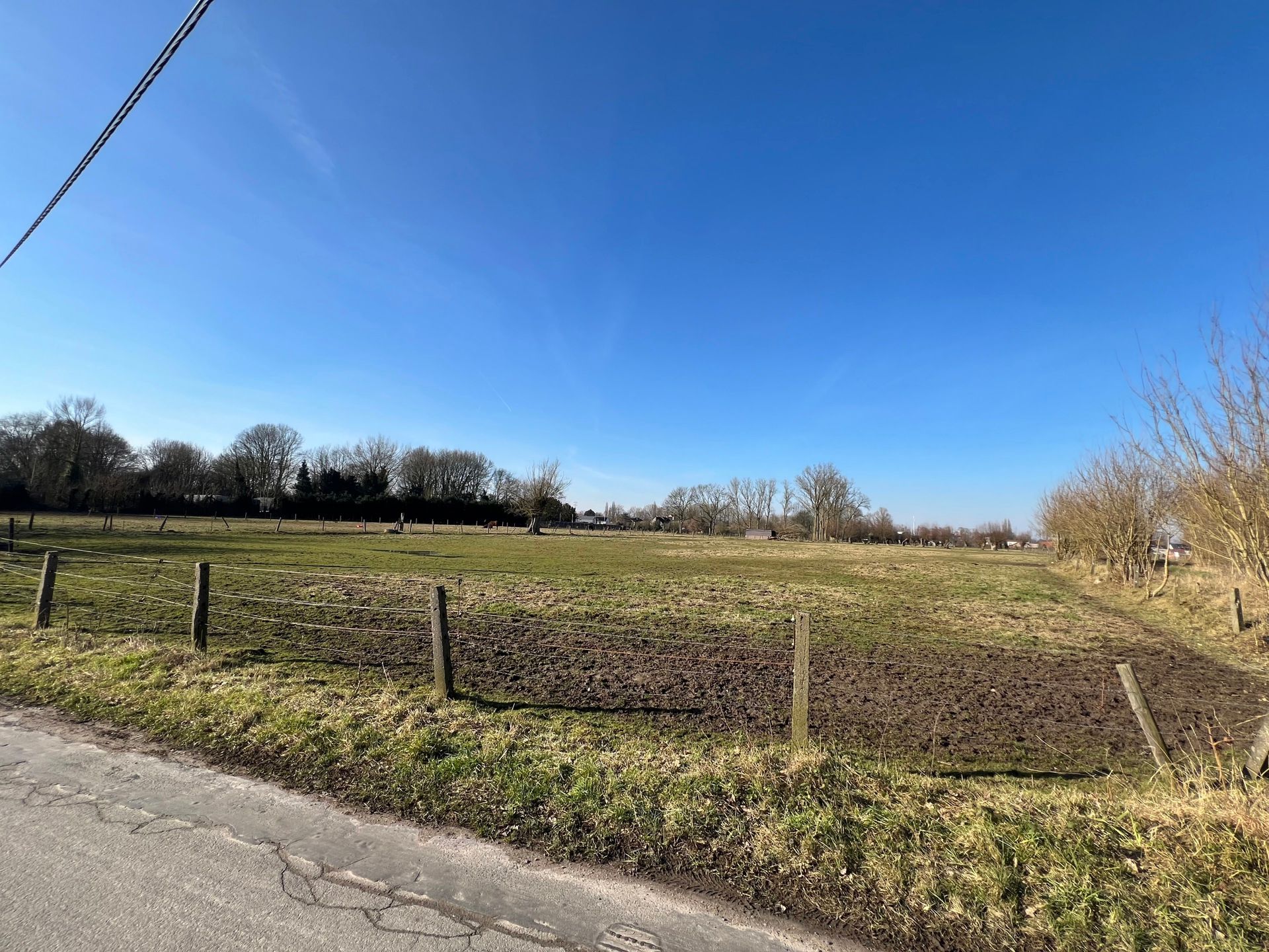 Weide op +/- 80 are en niet verpacht! foto 4