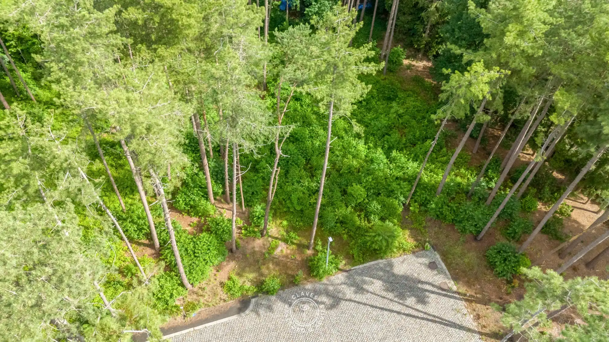 Exclusieve bouwgrond op de Heide in Waasmunster foto 6