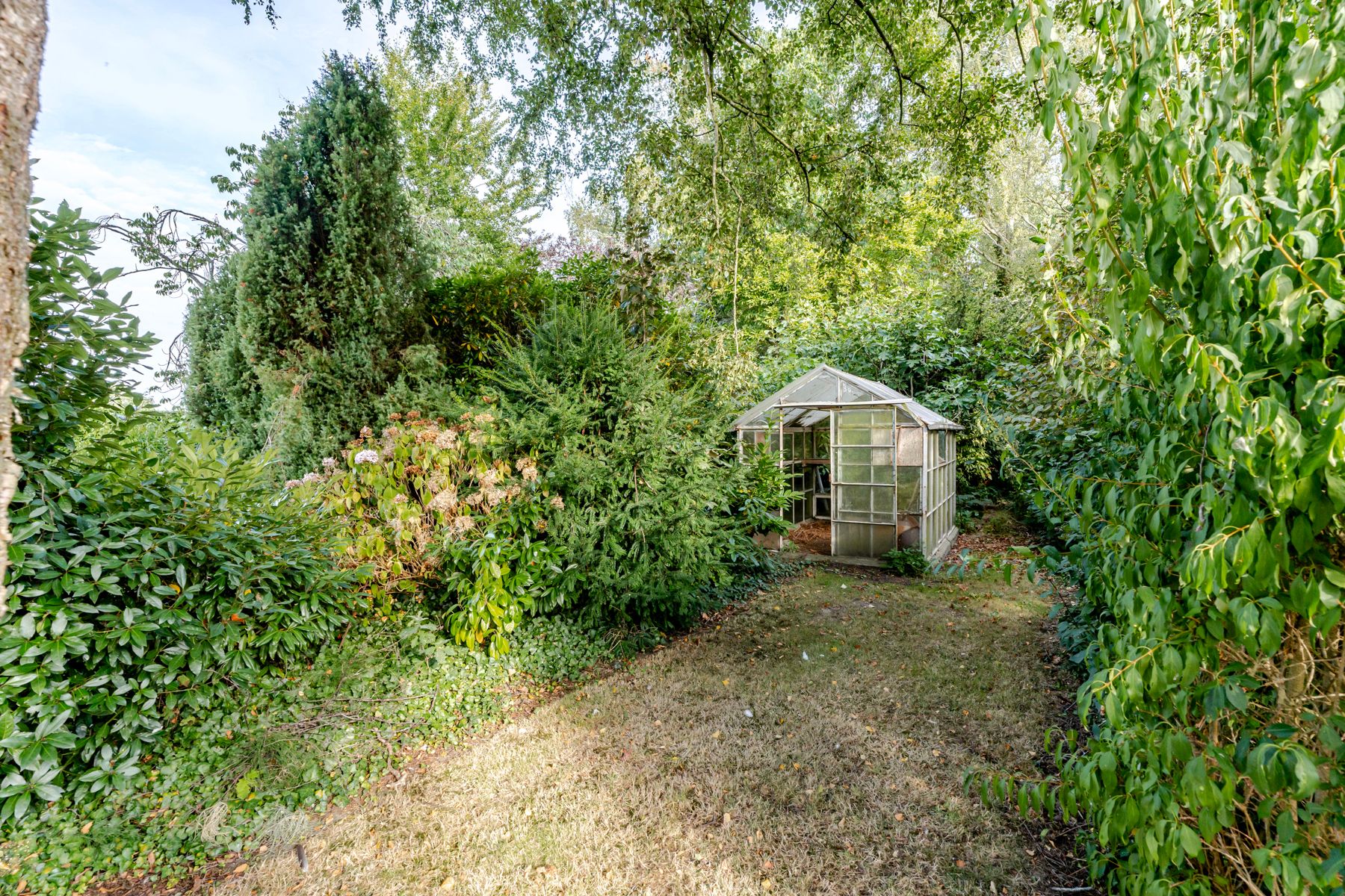 Ruime woning met meerdere bijgebouwen foto 26