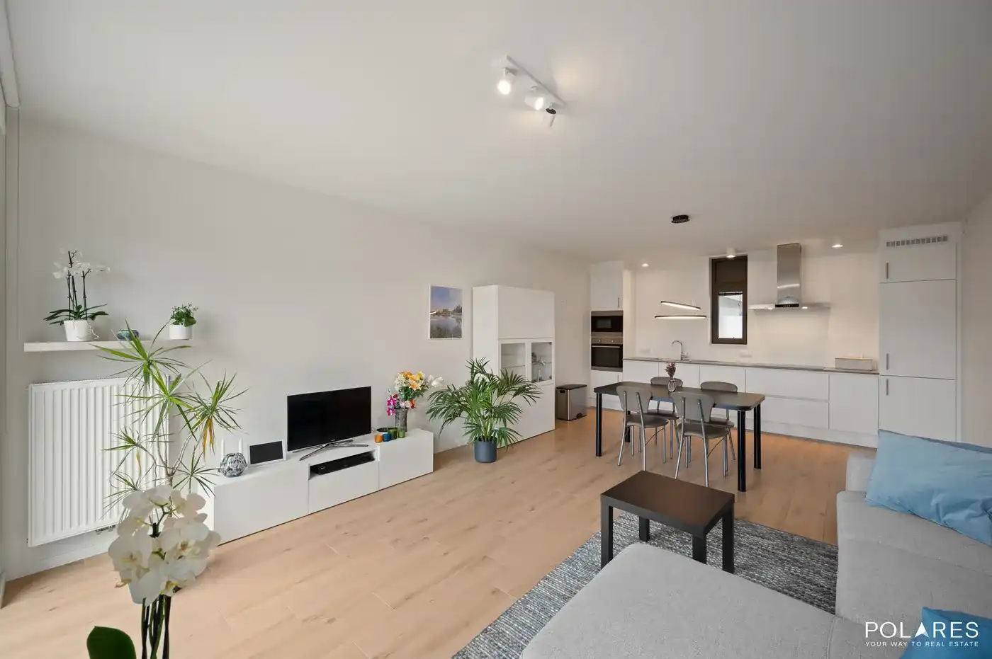 Lichtrijk en energiezuinig appartement met zuidgericht terras foto 7