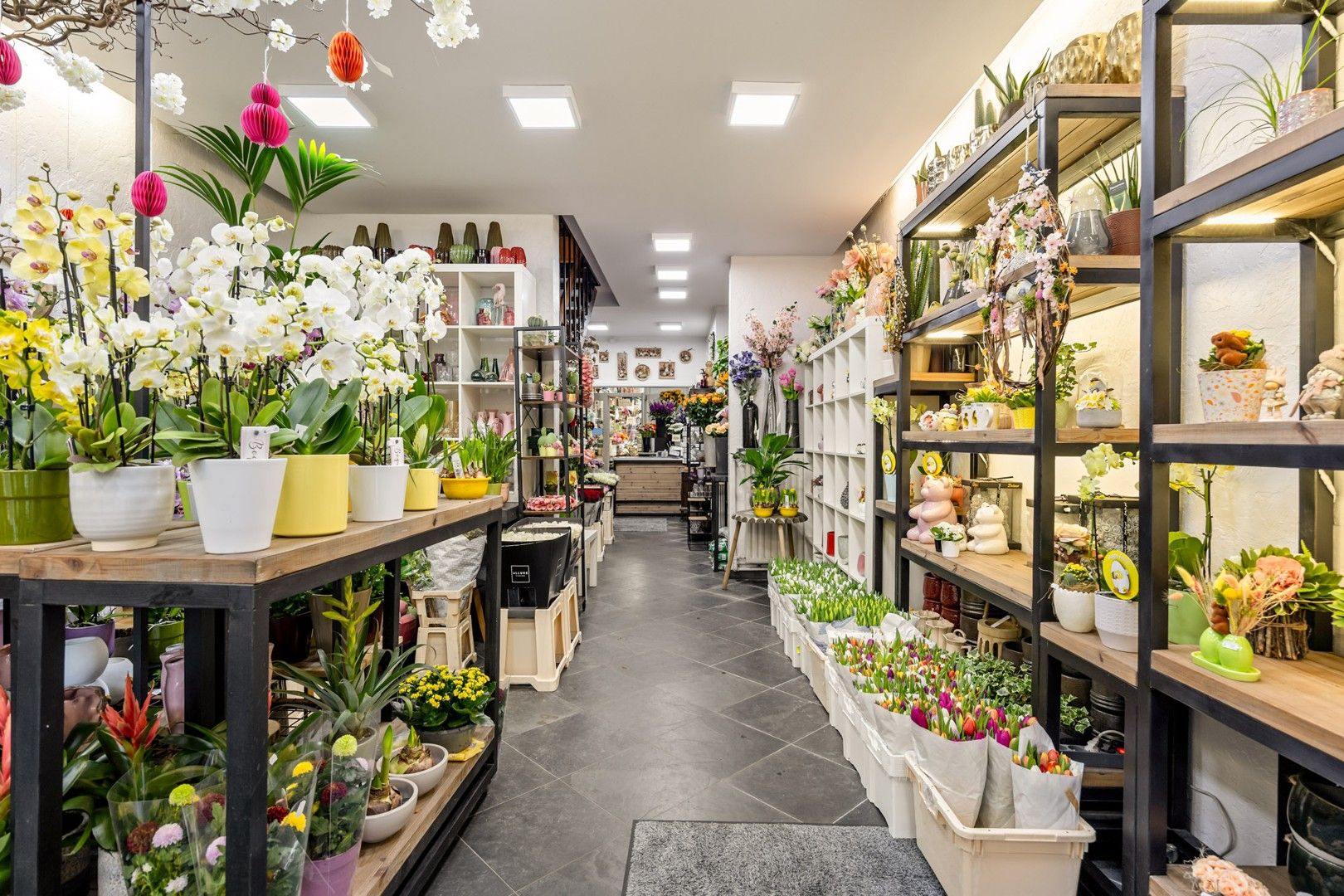 Handelspand met woonst in het centrum van Sint-Truiden. foto 3