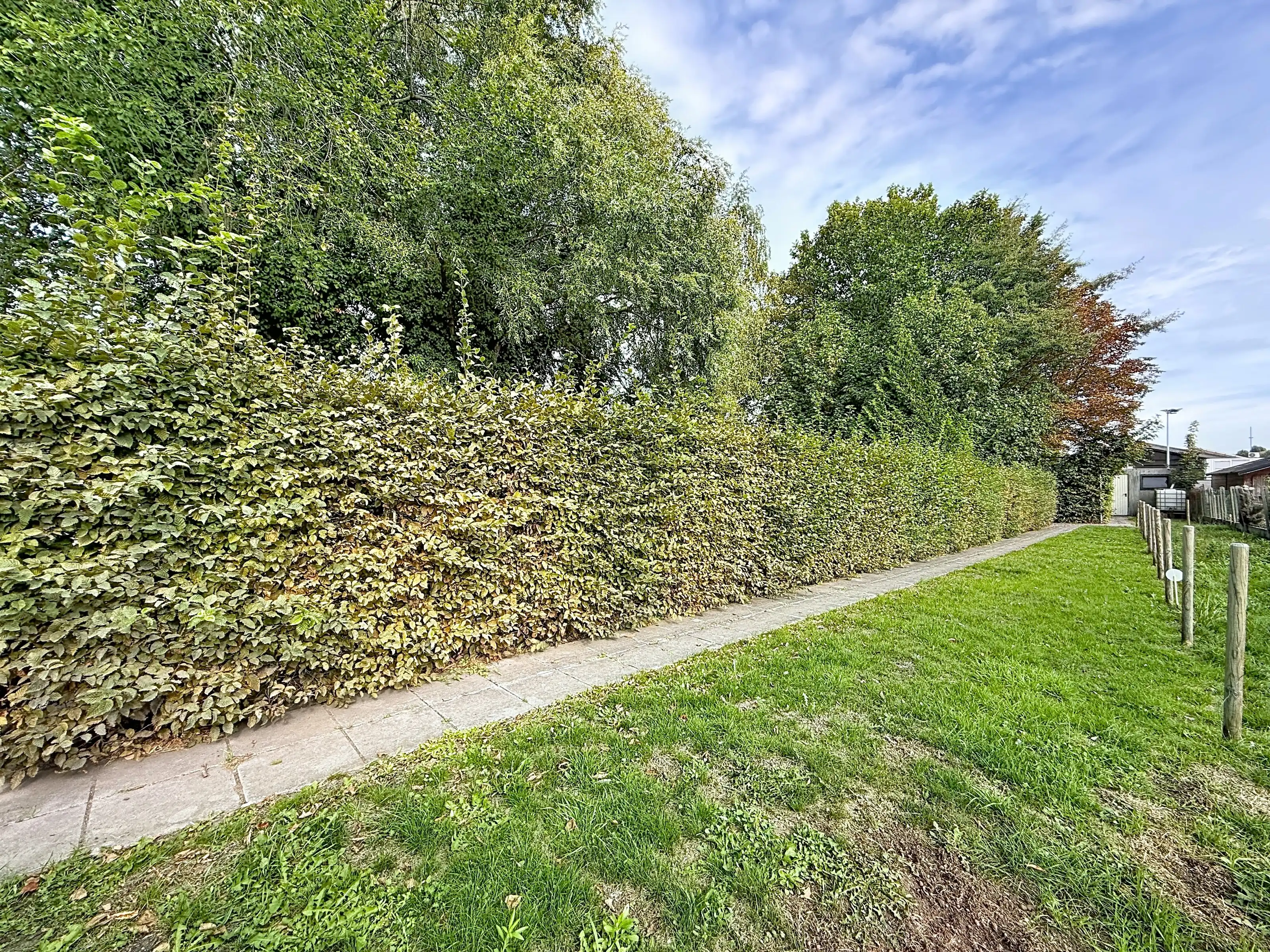 Woning te koop in Harelbeke met 2 slaapkamers en tuin foto 15