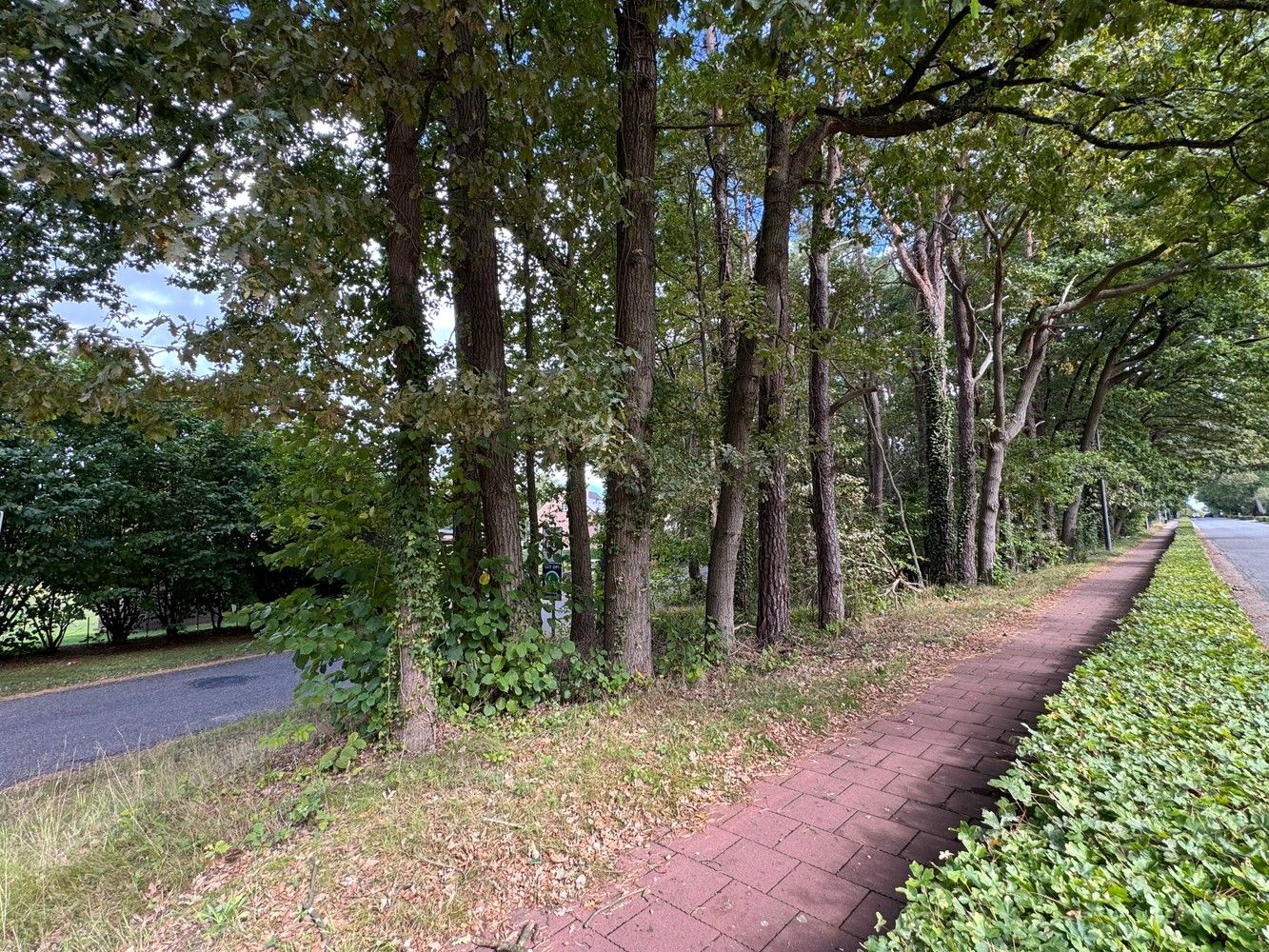 Uitstekend gelegen bouwgrond OB 10a 85ca foto 4