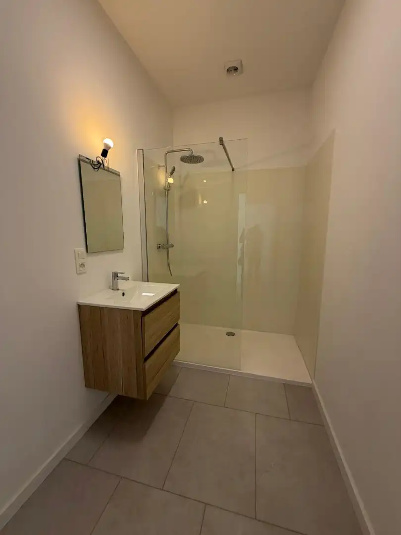 Vernieuwd appartement in het hart van Schaarbeek foto 10