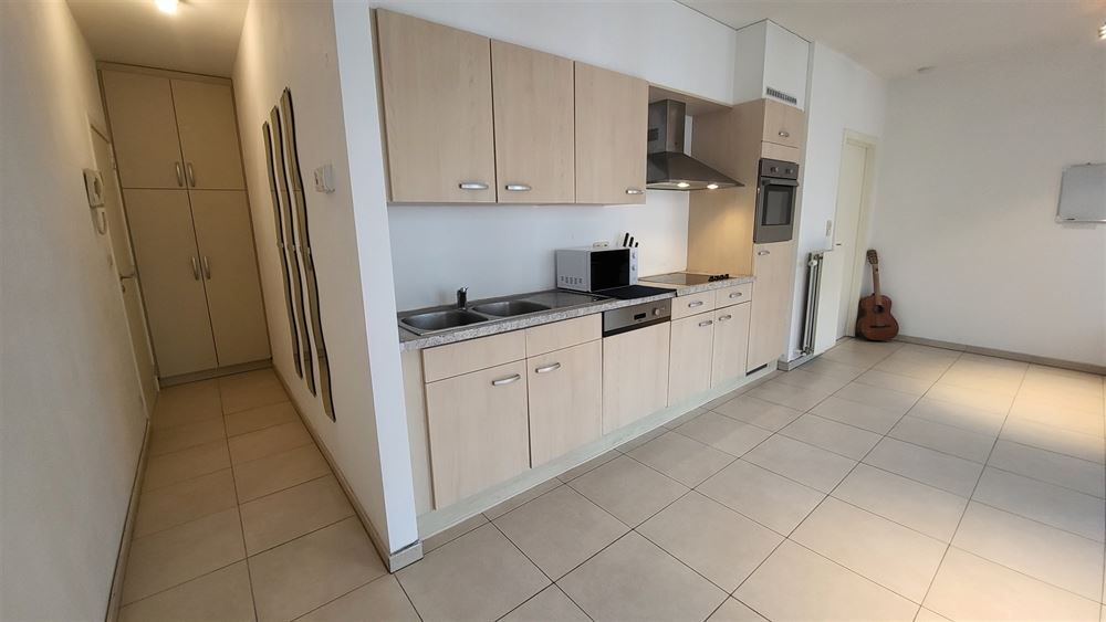 1-slpk appartement vlakbij stadspark foto 5