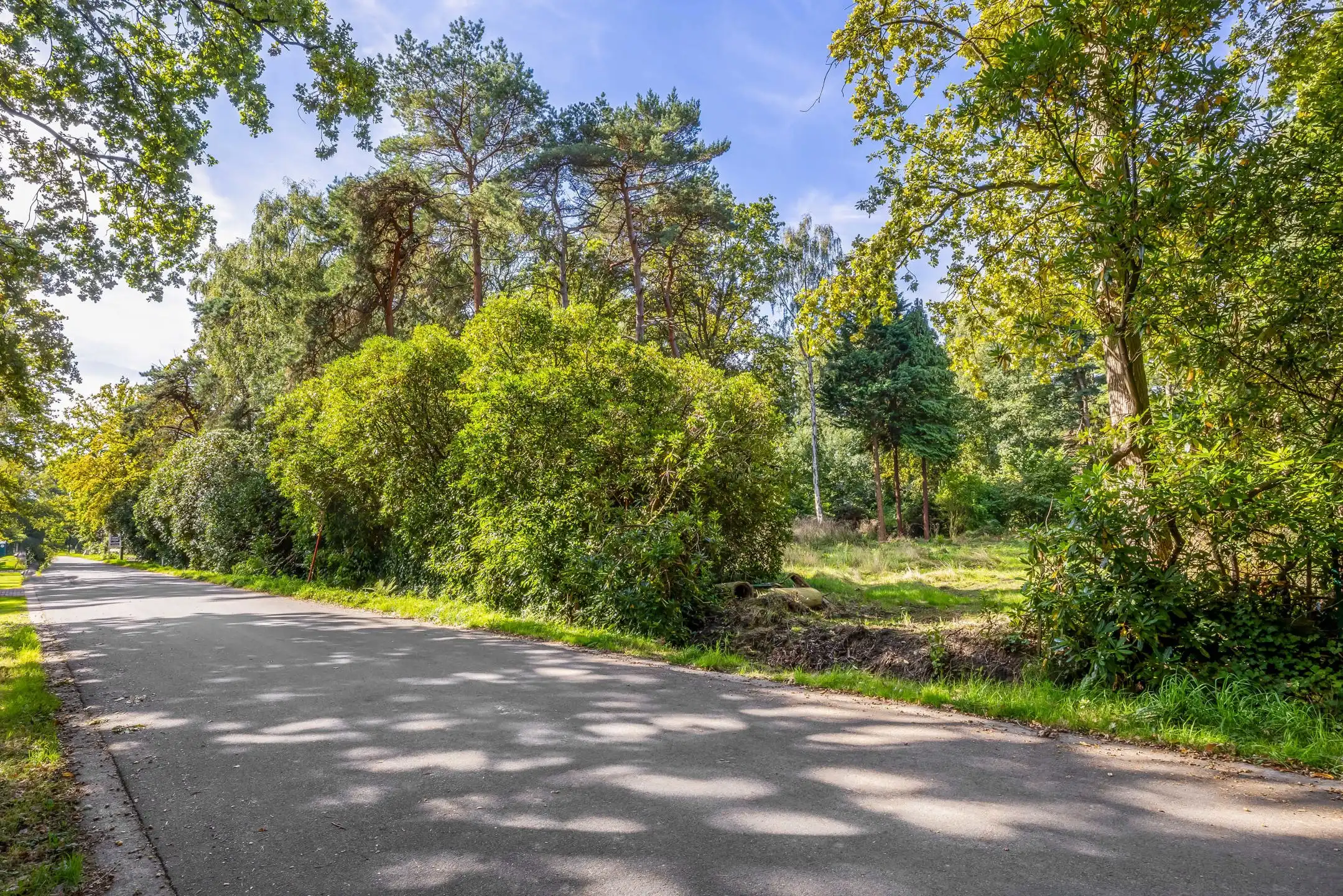 Extra brede bouwgrond in een groene oase foto 3