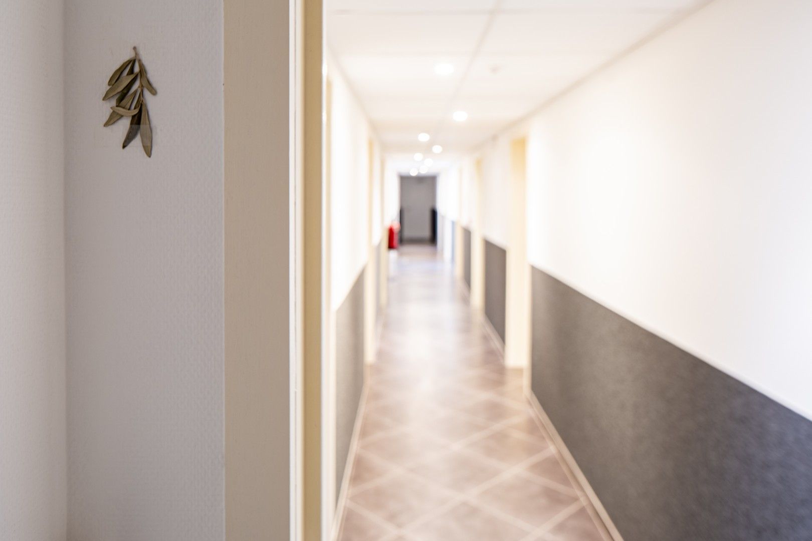 Studentenbuilding (gelijkvloers) met rendement van 5%, conformiteitsattest en verhuurgarantie foto 5