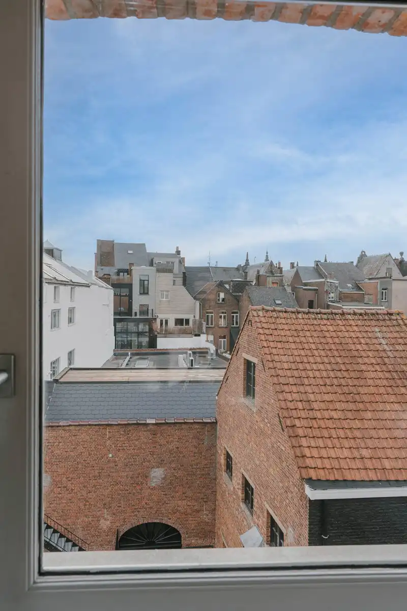 Uniek en ruim duplex-appartement in hartje Mechelen foto 30
