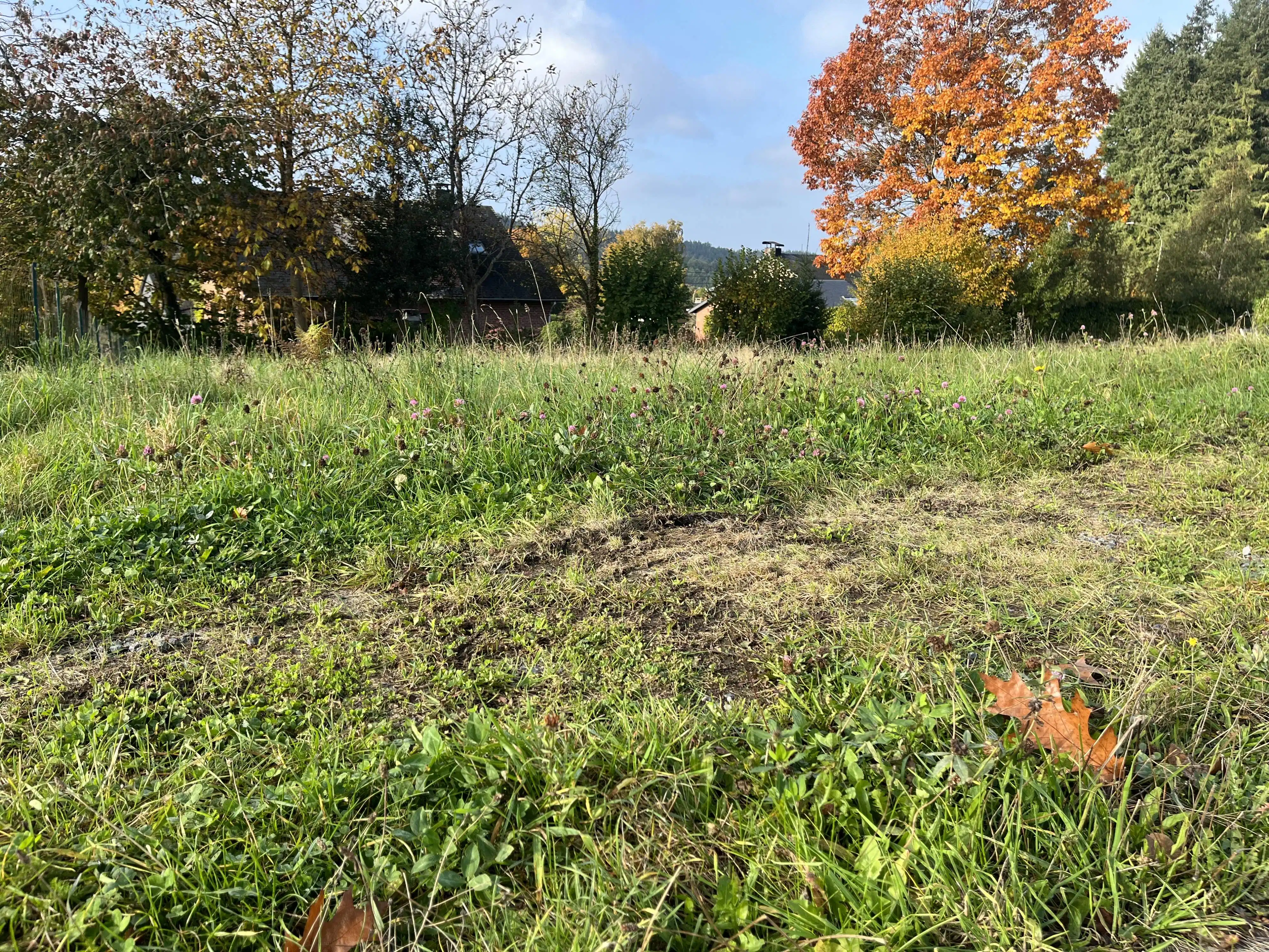 Uniek perceel bouwgrond te koop te Vesqueville foto 3