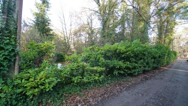 Mooie bouwgrond van 30 are voor villa of duo-wonen foto 5