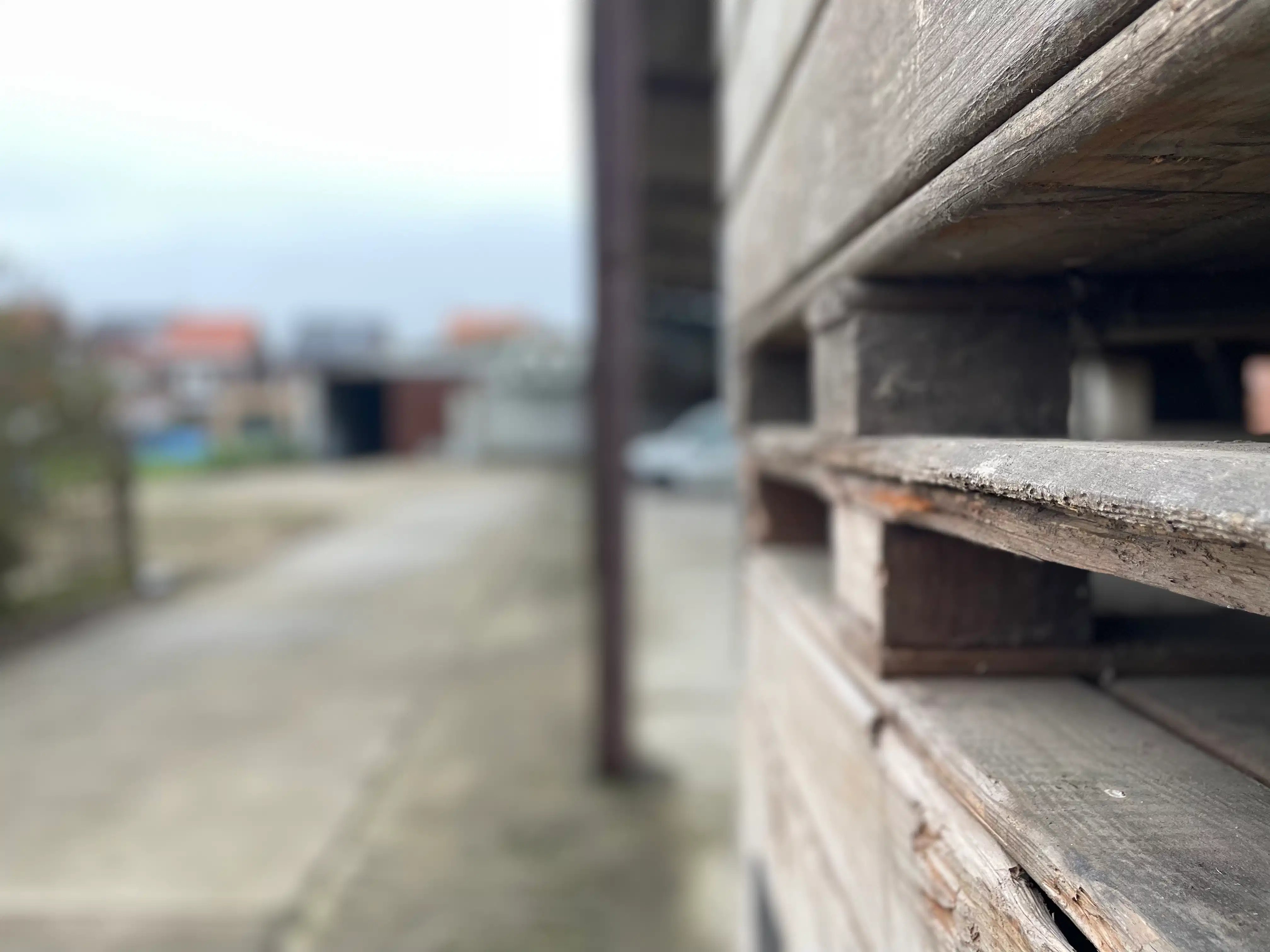 Karaktervolle hoeve met loods op een perceel van 16a76ca. foto 42