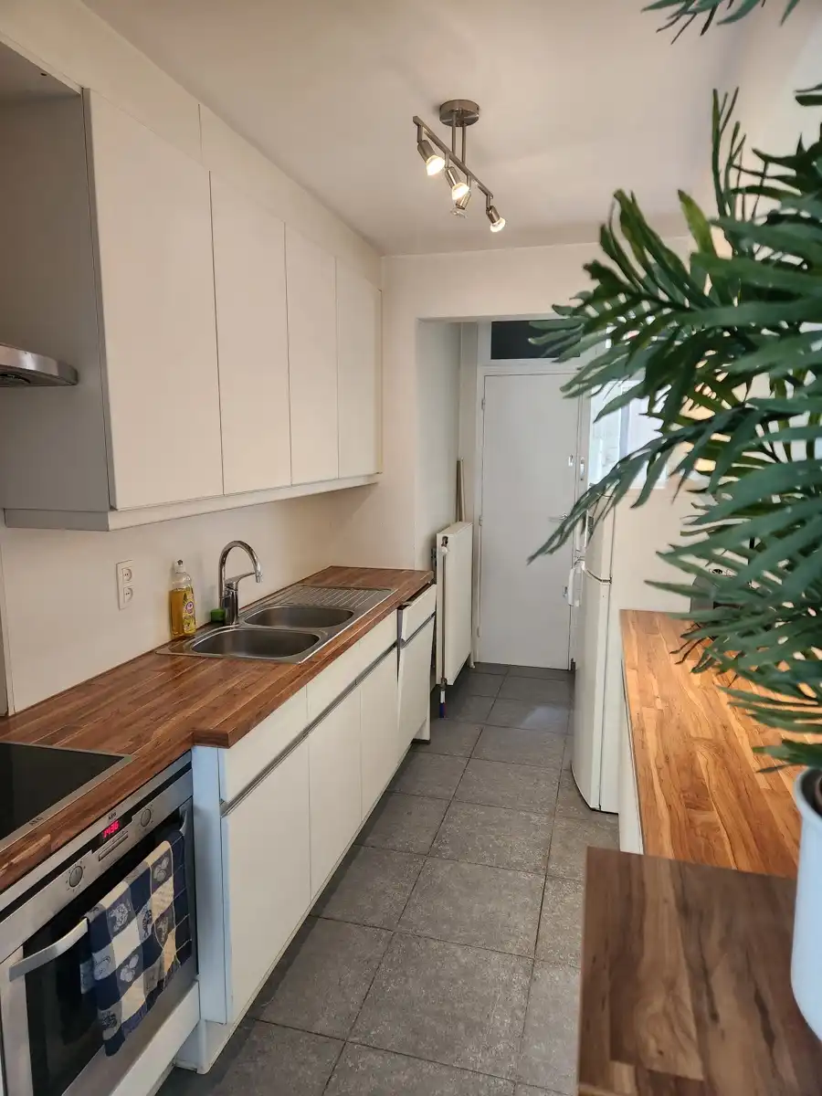 Ruim 3-kamer appartement&nbsp; met terras nabij het station en het stadscentrum foto 2