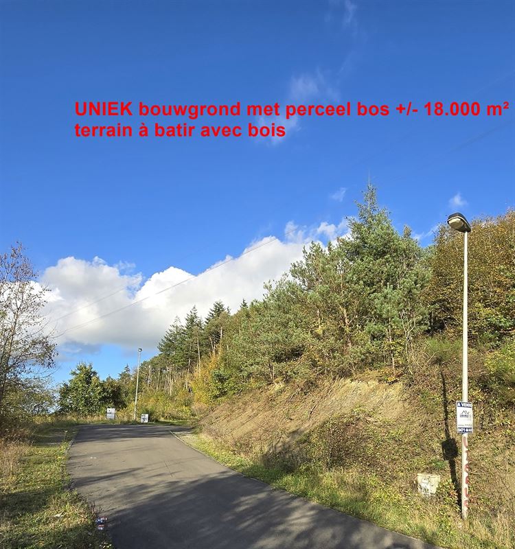 ()=>{if(producerUpdateValueVersion(node),producerAccessed(node),node.value===ERRORED)throw node.error;return node.value} Rue des Véroniques 18 - 6940 BARVAUX