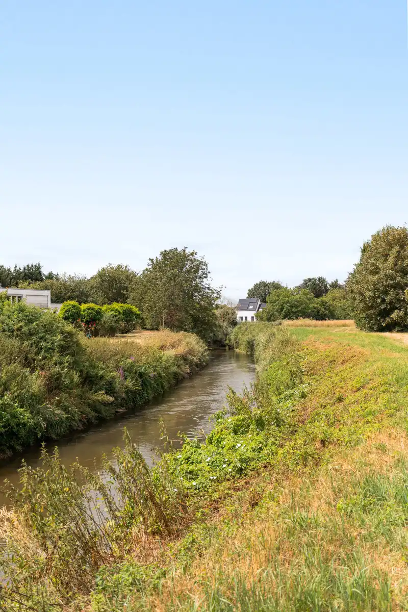 Bosgrond in een oase van groen foto 3